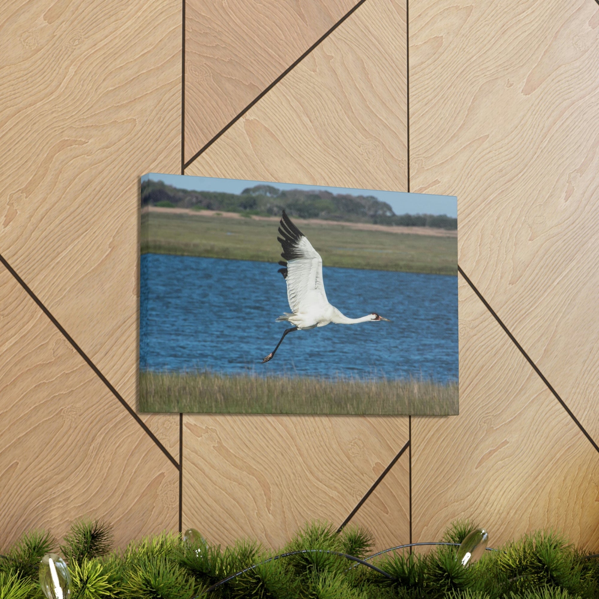 Scripture Walls Majestic Whooping Crane Art Majestic Whooping Crane Print Animal Wall Art Wildlife Canvas Prints Wall Art Ready to Hang Unframed-Express Your Love Gifts