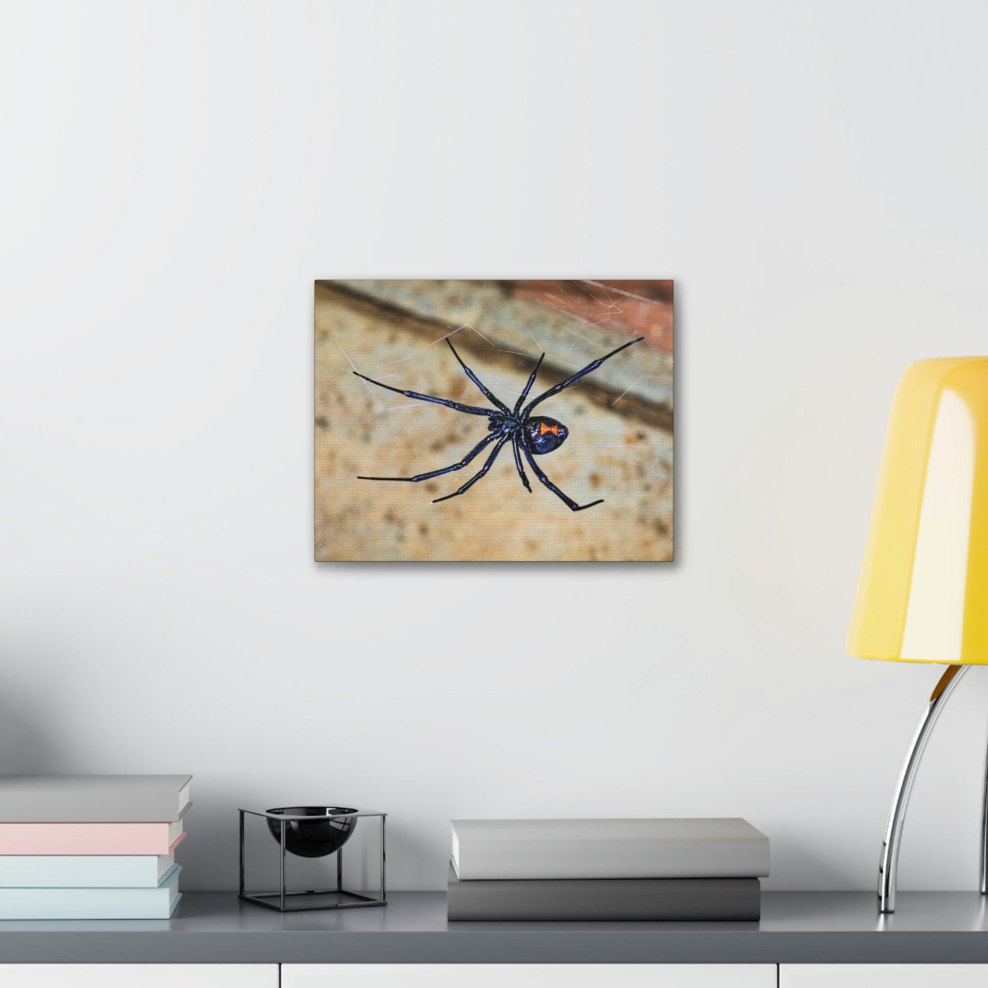 Scripture Walls Majestic Widow Spider Art Majestic Widow Spider Print Animal Wall Art Wildlife Canvas Prints Wall Art Ready to Hang Unframed-Express Your Love Gifts