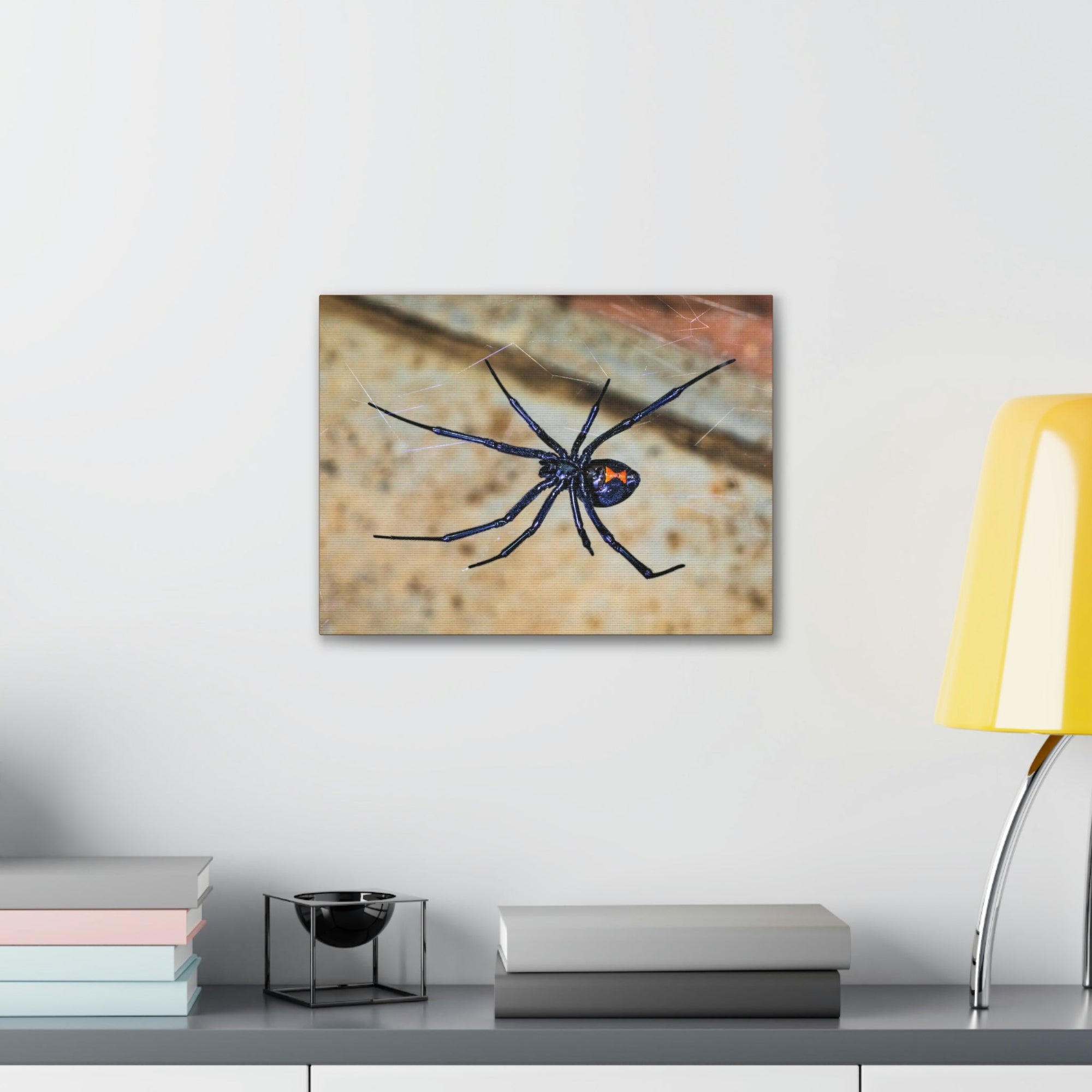 Scripture Walls Majestic Widow Spider Art Majestic Widow Spider Print Animal Wall Art Wildlife Canvas Prints Wall Art Ready to Hang Unframed-Express Your Love Gifts