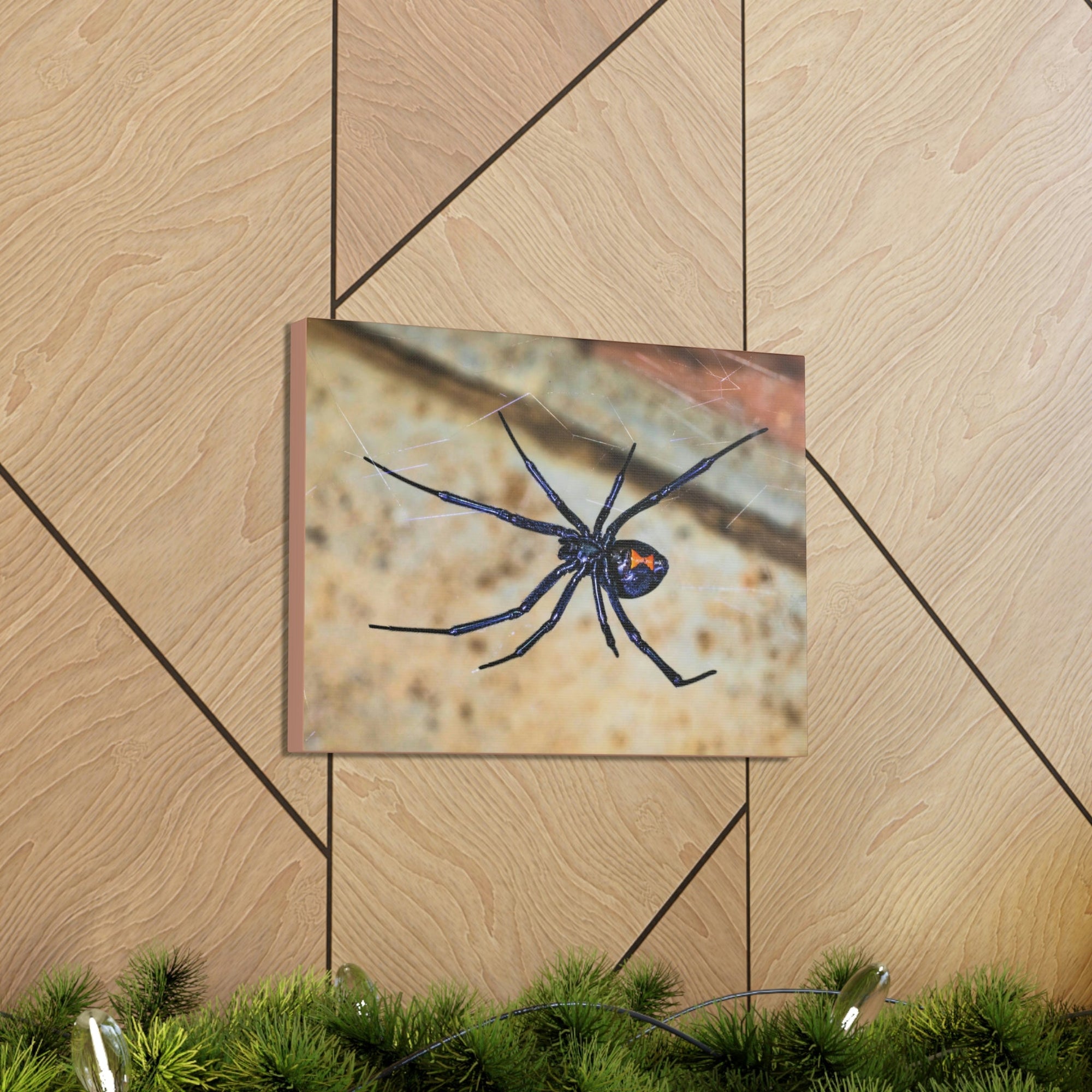 Scripture Walls Majestic Widow Spider Art Majestic Widow Spider Print Animal Wall Art Wildlife Canvas Prints Wall Art Ready to Hang Unframed-Express Your Love Gifts