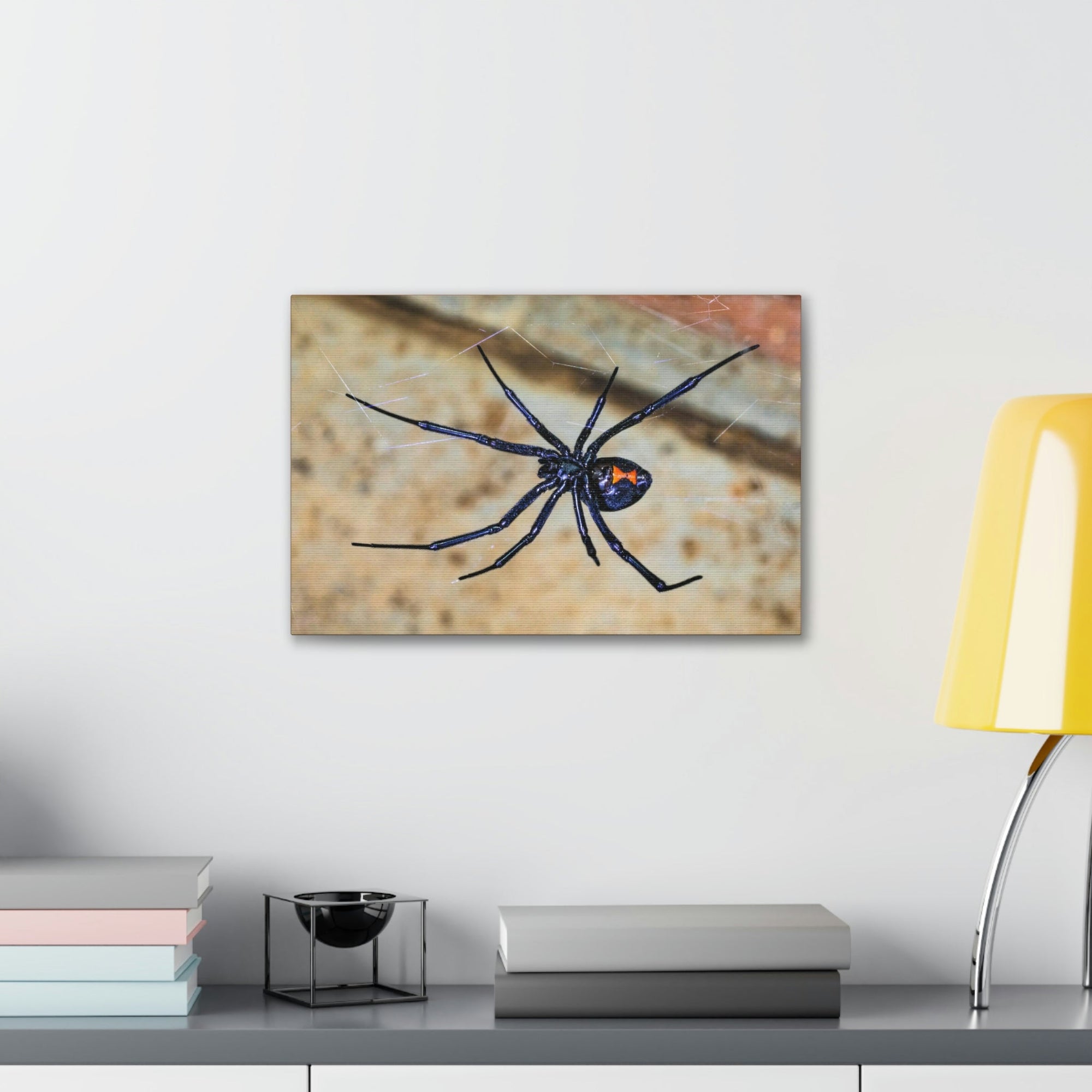 Scripture Walls Majestic Widow Spider Art Majestic Widow Spider Print Animal Wall Art Wildlife Canvas Prints Wall Art Ready to Hang Unframed-Express Your Love Gifts