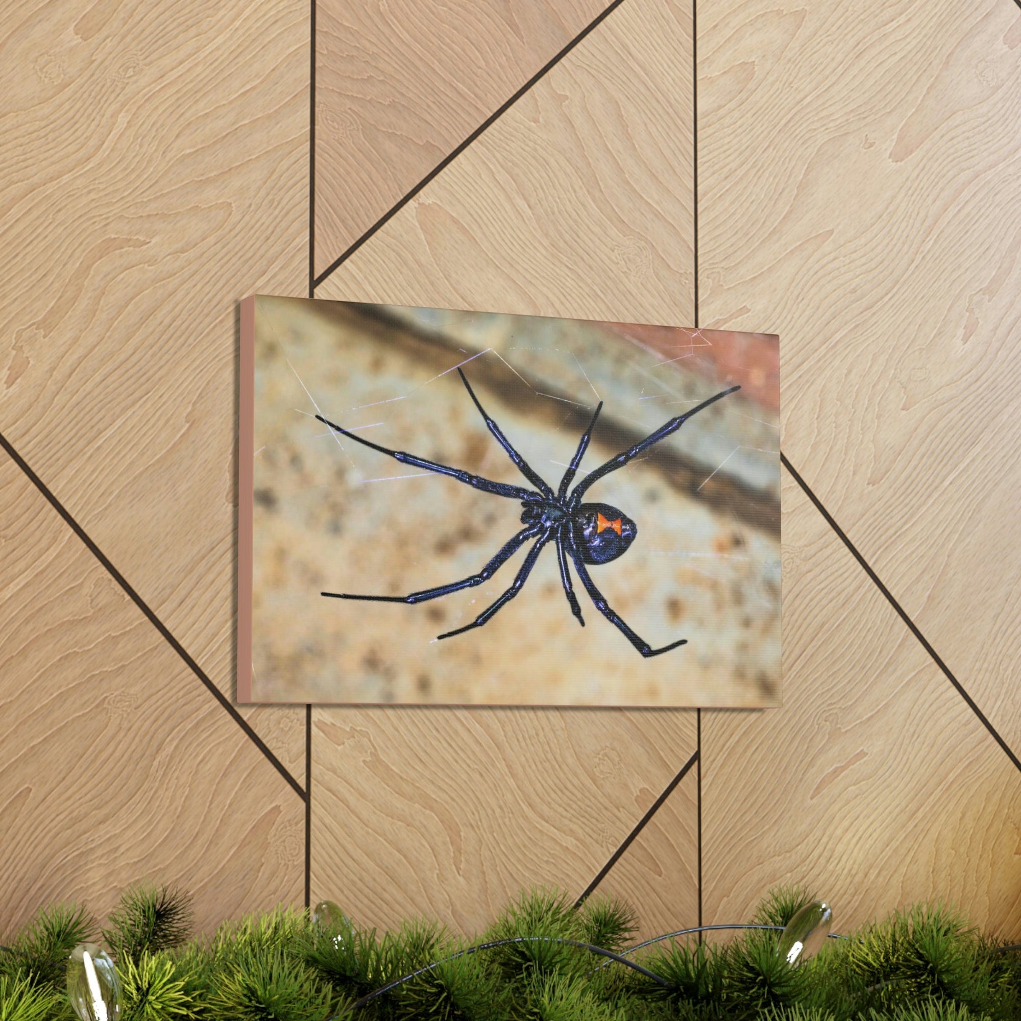 Scripture Walls Majestic Widow Spider Art Majestic Widow Spider Print Animal Wall Art Wildlife Canvas Prints Wall Art Ready to Hang Unframed-Express Your Love Gifts