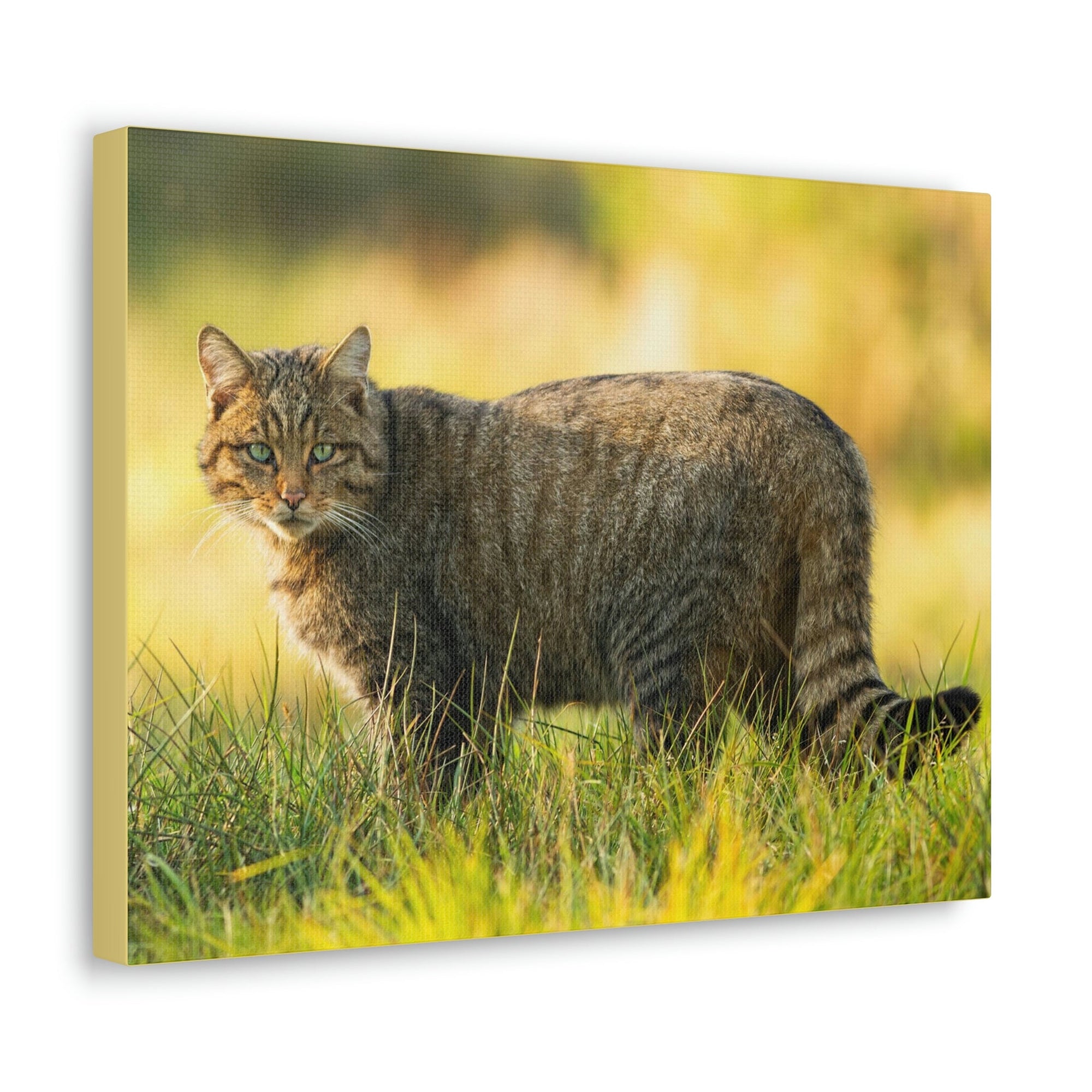 Scripture Walls Majestic Wildcat Art Majestic Wildcat Print Animal Wall Art Wildlife Canvas Prints Wall Art Ready to Hang Unframed-Express Your Love Gifts