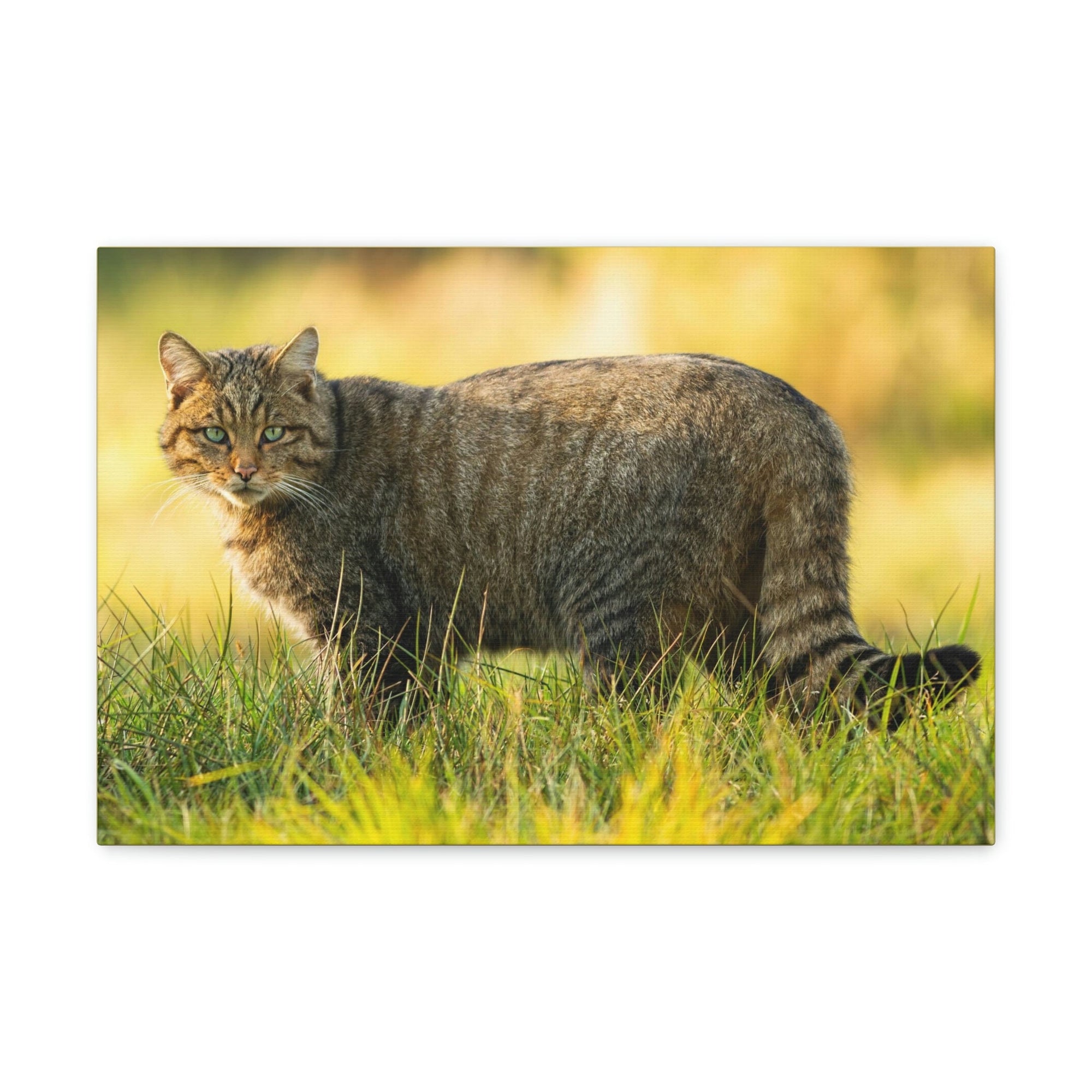 Scripture Walls Majestic Wildcat Art Majestic Wildcat Print Animal Wall Art Wildlife Canvas Prints Wall Art Ready to Hang Unframed-Express Your Love Gifts