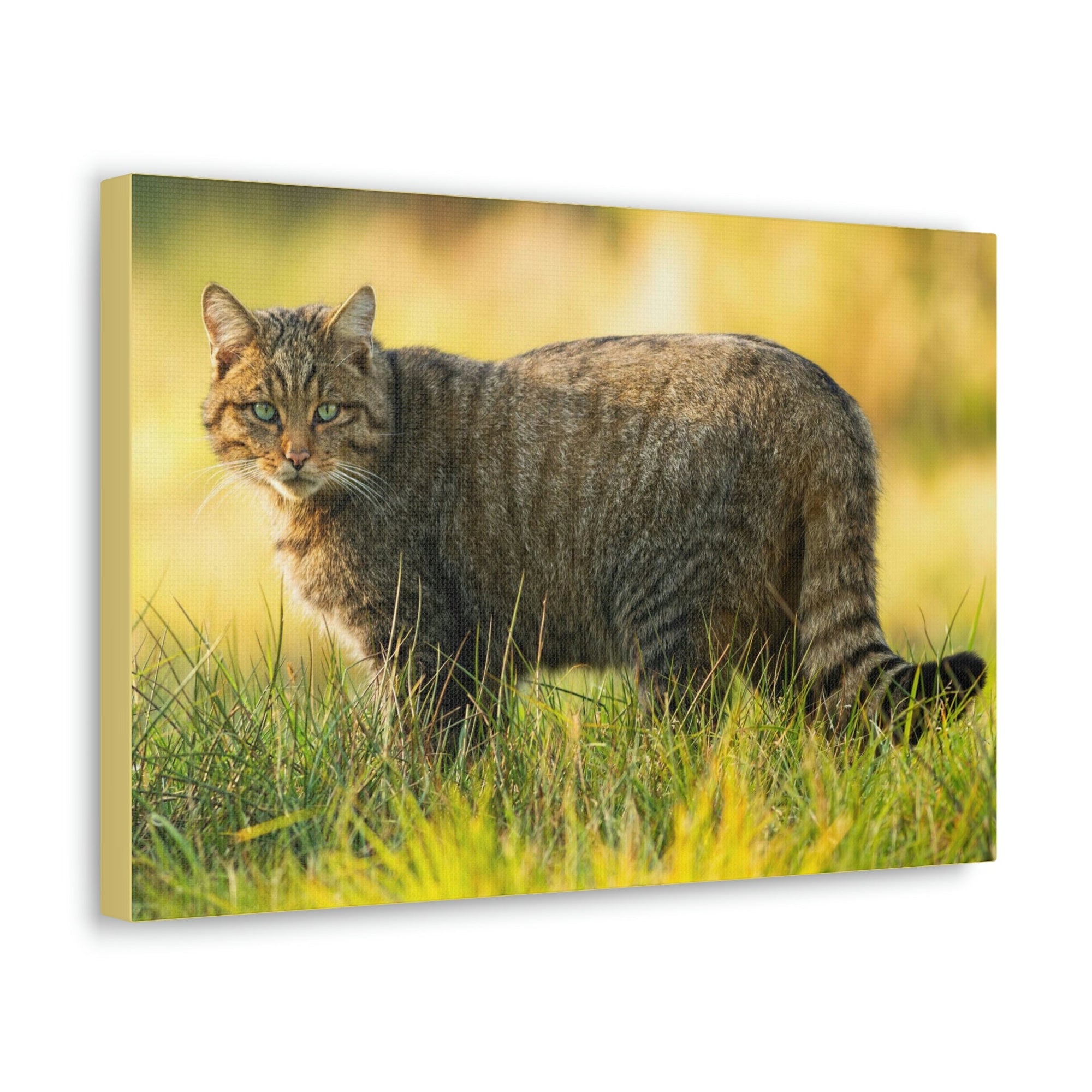 Scripture Walls Majestic Wildcat Art Majestic Wildcat Print Animal Wall Art Wildlife Canvas Prints Wall Art Ready to Hang Unframed-Express Your Love Gifts