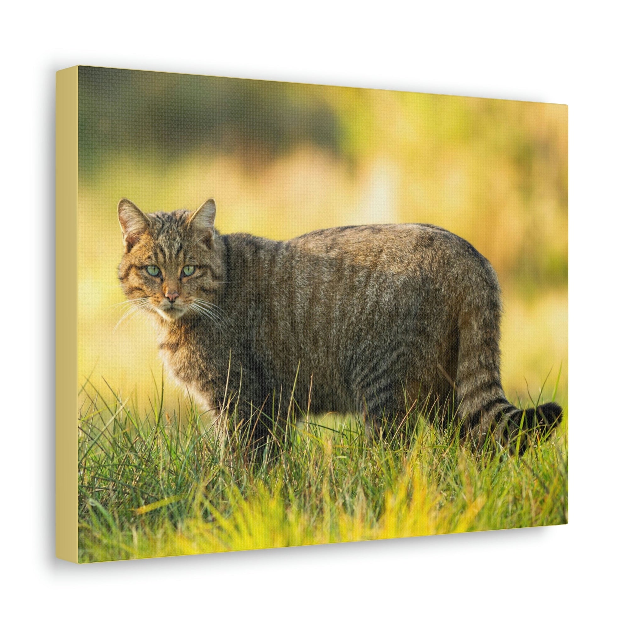 Scripture Walls Majestic Wildcat Art Majestic Wildcat Print Animal Wall Art Wildlife Canvas Prints Wall Art Ready to Hang Unframed-Express Your Love Gifts