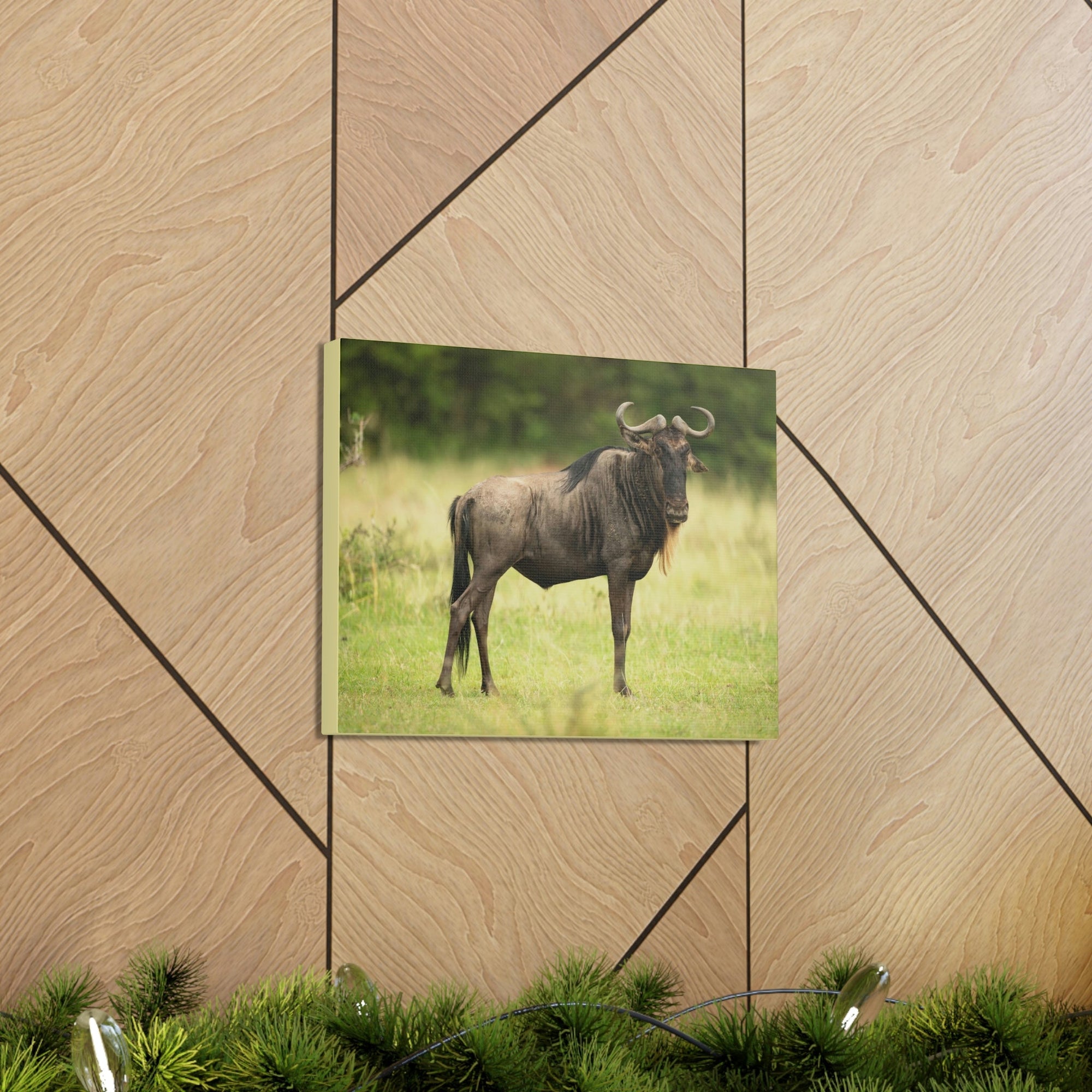 Scripture Walls Majestic Wildebeest Art Majestic Wildebeest Print Animal Wall Art Wildlife Canvas Prints Wall Art Ready to Hang Unframed-Express Your Love Gifts