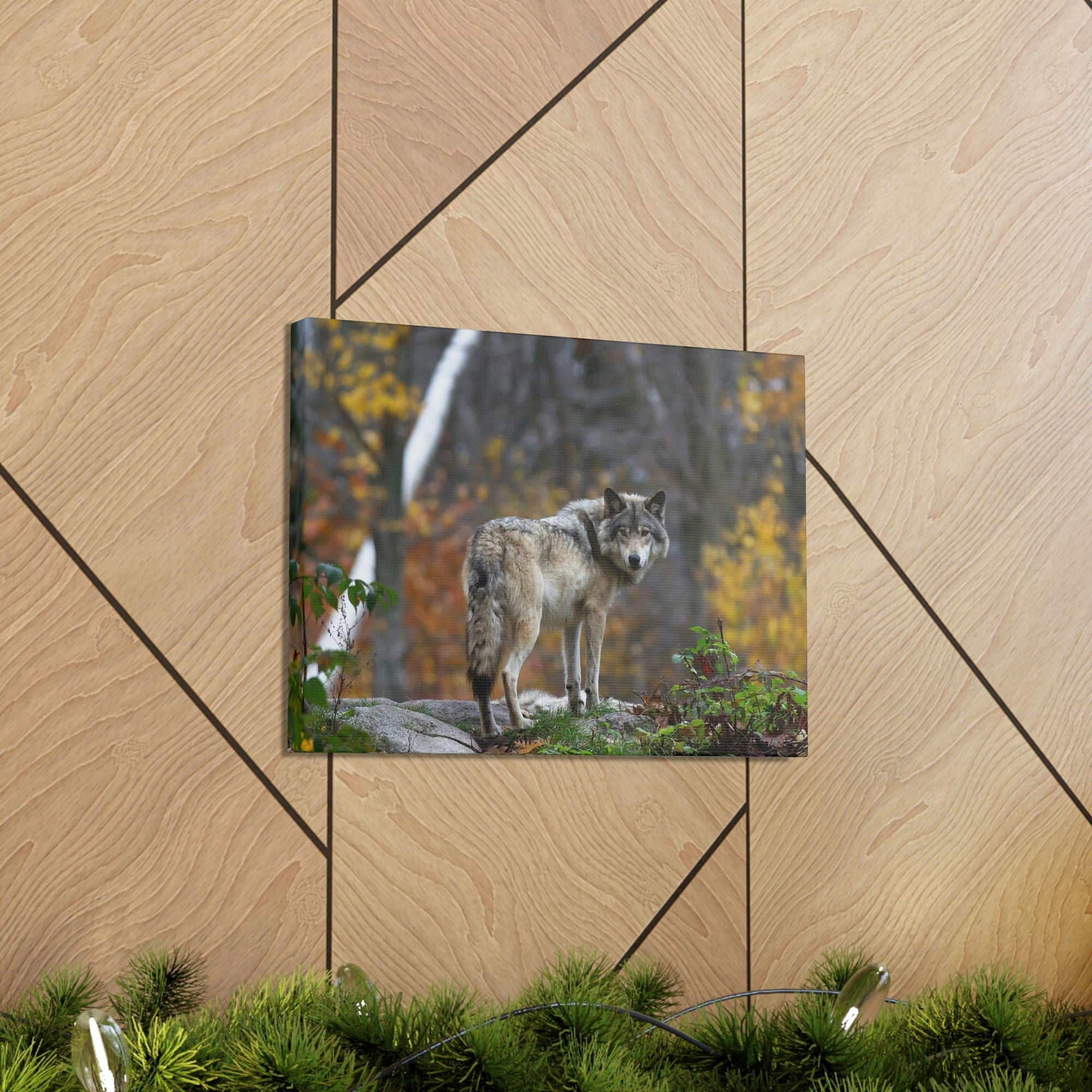 Scripture Walls Majestic Wolf Art Majestic Wolf Print Animal Wall Art Wildlife Canvas Prints Wall Art Ready to Hang Unframed-Express Your Love Gifts