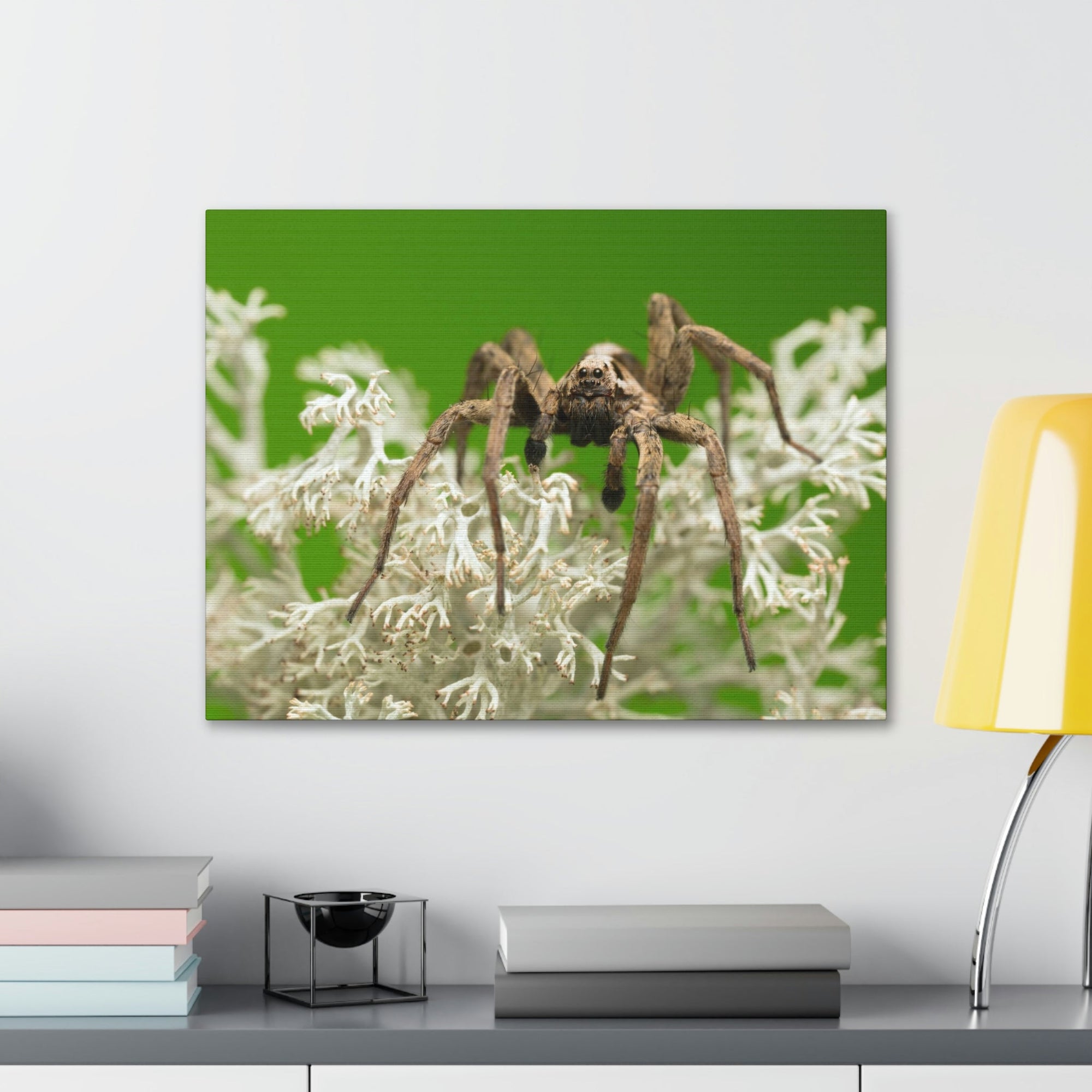 Scripture Walls Majestic Wolf Spider Art Majestic Wolf Spider Print Animal Wall Art Wildlife Canvas Prints Wall Art Ready to Hang Unframed-Express Your Love Gifts