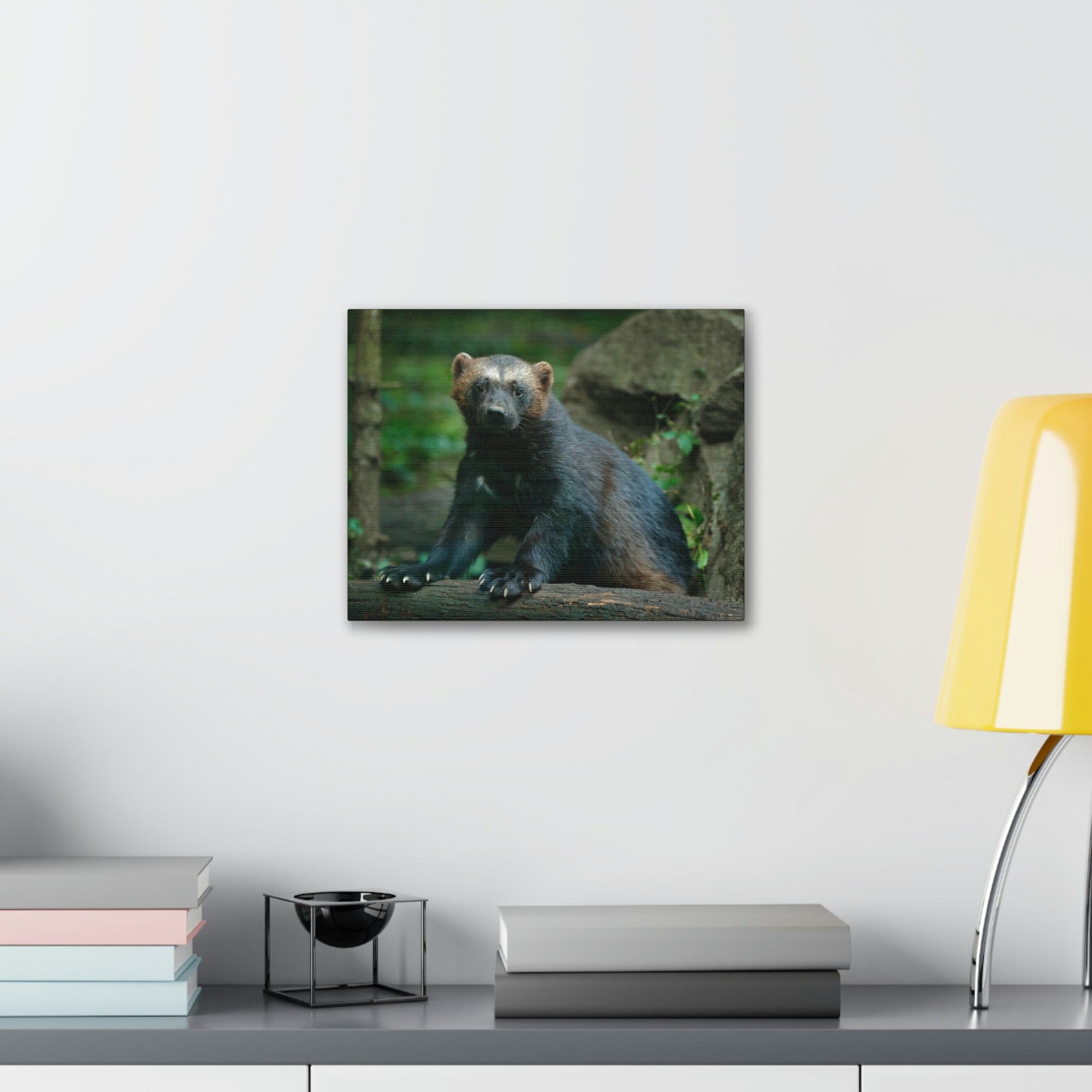 Scripture Walls Majestic Wolverine Art Majestic Wolverine Print Animal Wall Art Wildlife Canvas Prints Wall Art Ready to Hang Unframed-Express Your Love Gifts