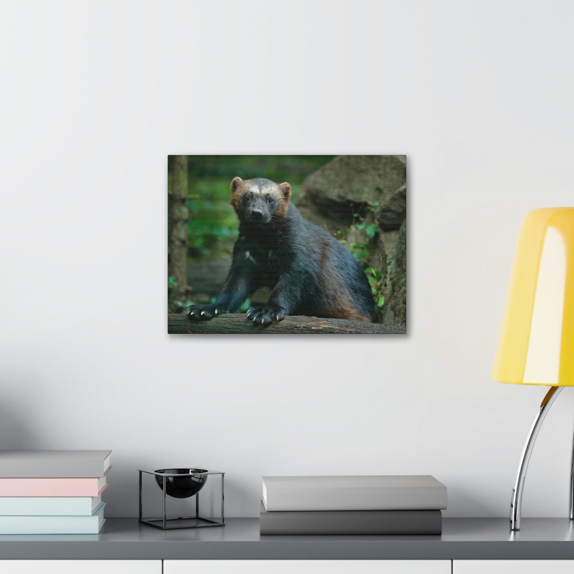 Scripture Walls Majestic Wolverine Art Majestic Wolverine Print Animal Wall Art Wildlife Canvas Prints Wall Art Ready to Hang Unframed-Express Your Love Gifts