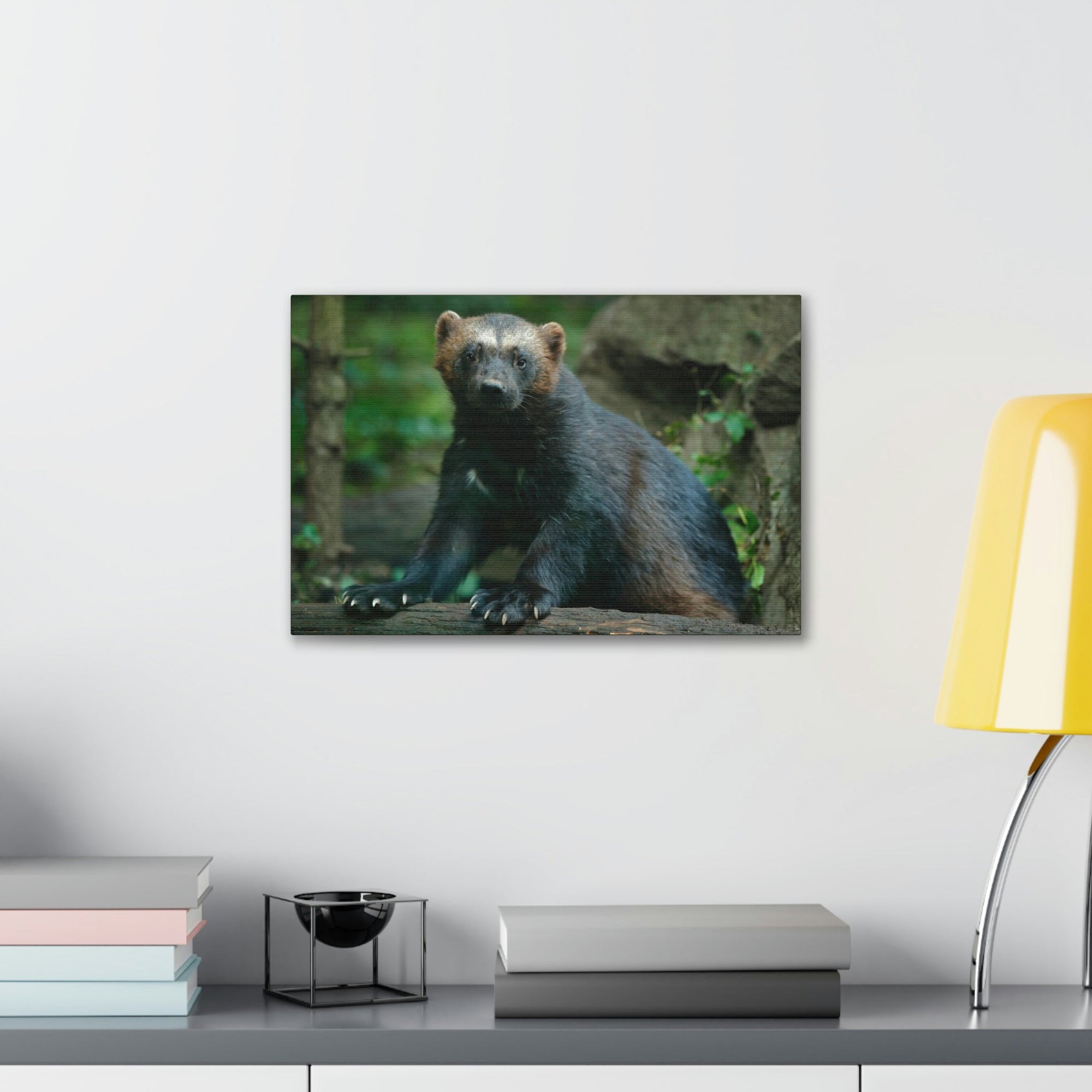 Scripture Walls Majestic Wolverine Art Majestic Wolverine Print Animal Wall Art Wildlife Canvas Prints Wall Art Ready to Hang Unframed-Express Your Love Gifts