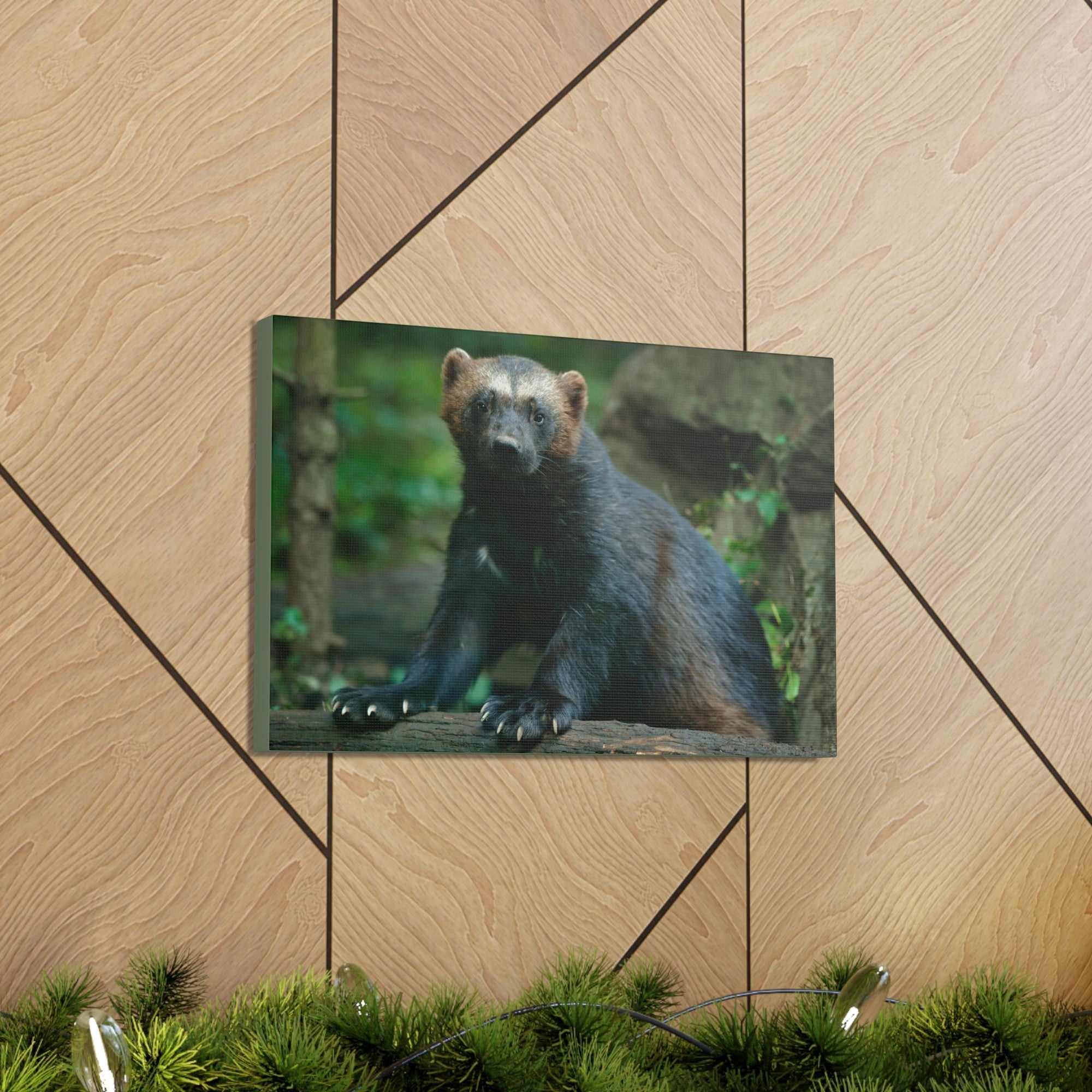 Scripture Walls Majestic Wolverine Art Majestic Wolverine Print Animal Wall Art Wildlife Canvas Prints Wall Art Ready to Hang Unframed-Express Your Love Gifts