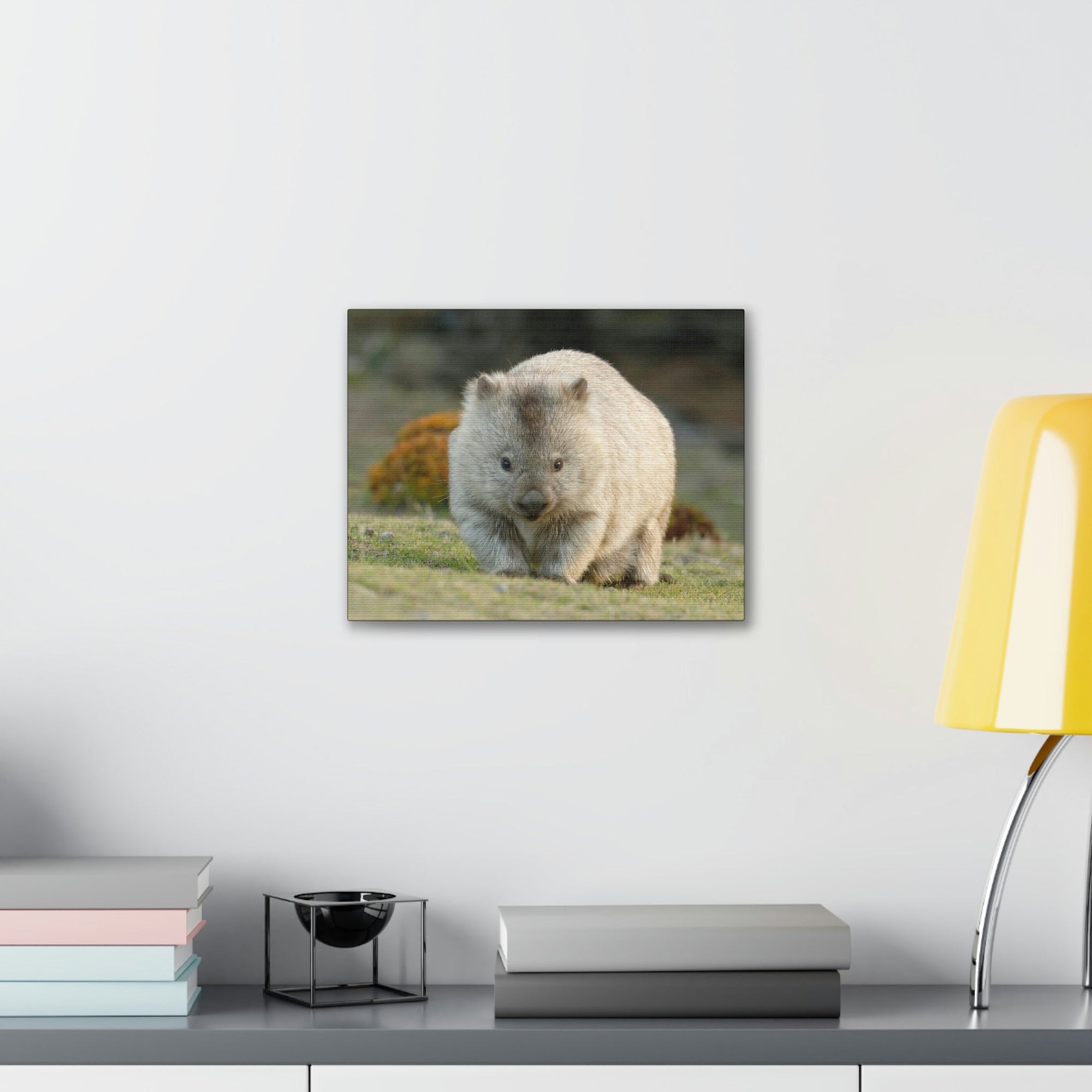 Scripture Walls Majestic Wombat Art Majestic Wombat Print Animal Wall Art Wildlife Canvas Prints Wall Art Ready to Hang Unframed-Express Your Love Gifts