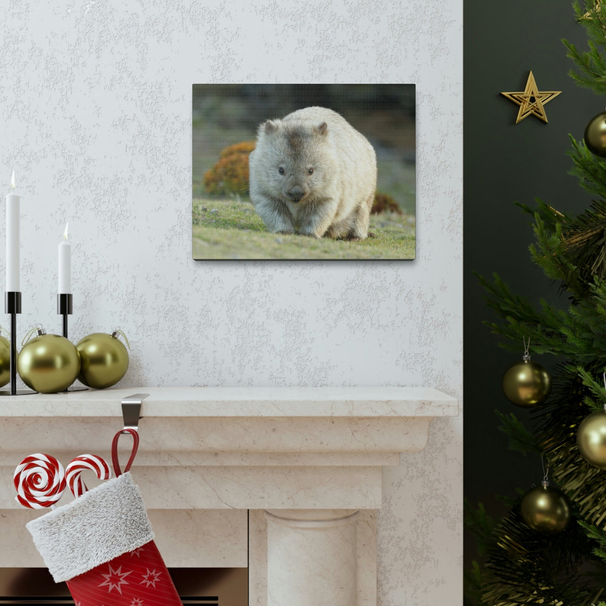 Scripture Walls Majestic Wombat Art Majestic Wombat Print Animal Wall Art Wildlife Canvas Prints Wall Art Ready to Hang Unframed-Express Your Love Gifts