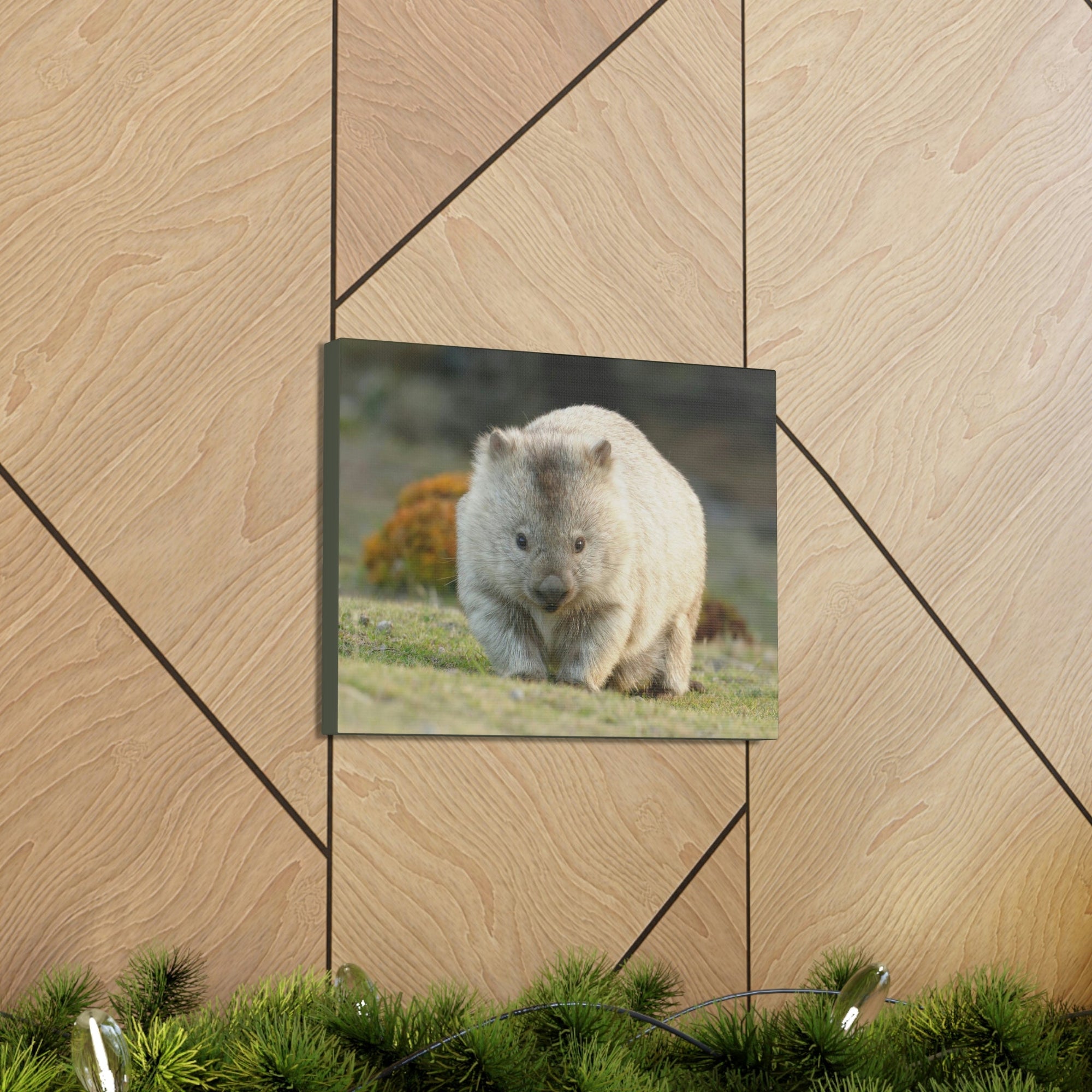 Scripture Walls Majestic Wombat Art Majestic Wombat Print Animal Wall Art Wildlife Canvas Prints Wall Art Ready to Hang Unframed-Express Your Love Gifts