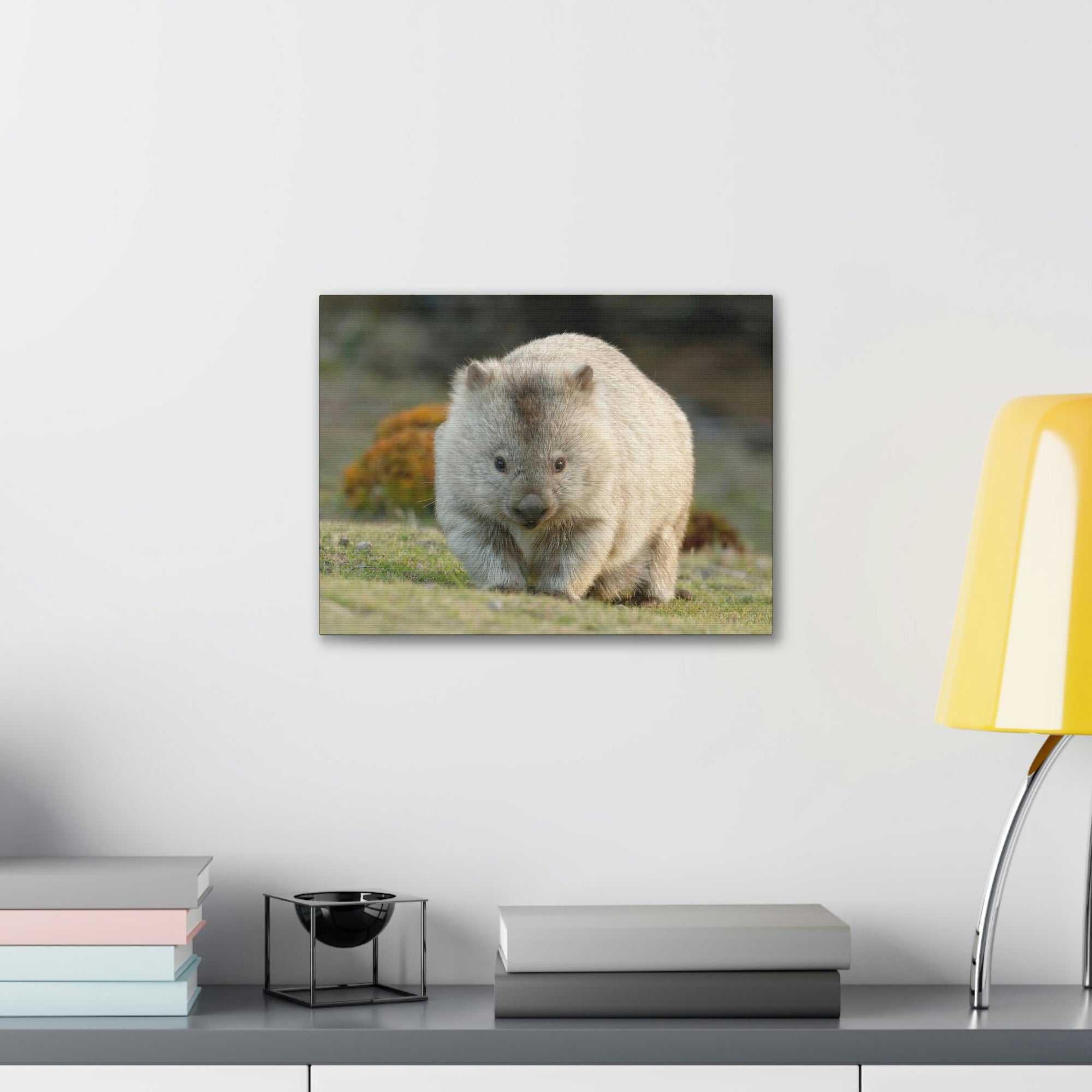 Scripture Walls Majestic Wombat Art Majestic Wombat Print Animal Wall Art Wildlife Canvas Prints Wall Art Ready to Hang Unframed-Express Your Love Gifts