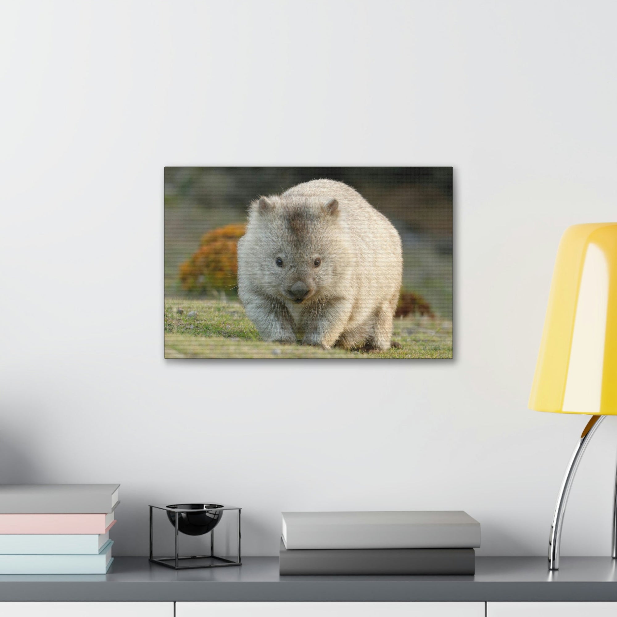 Scripture Walls Majestic Wombat Art Majestic Wombat Print Animal Wall Art Wildlife Canvas Prints Wall Art Ready to Hang Unframed-Express Your Love Gifts