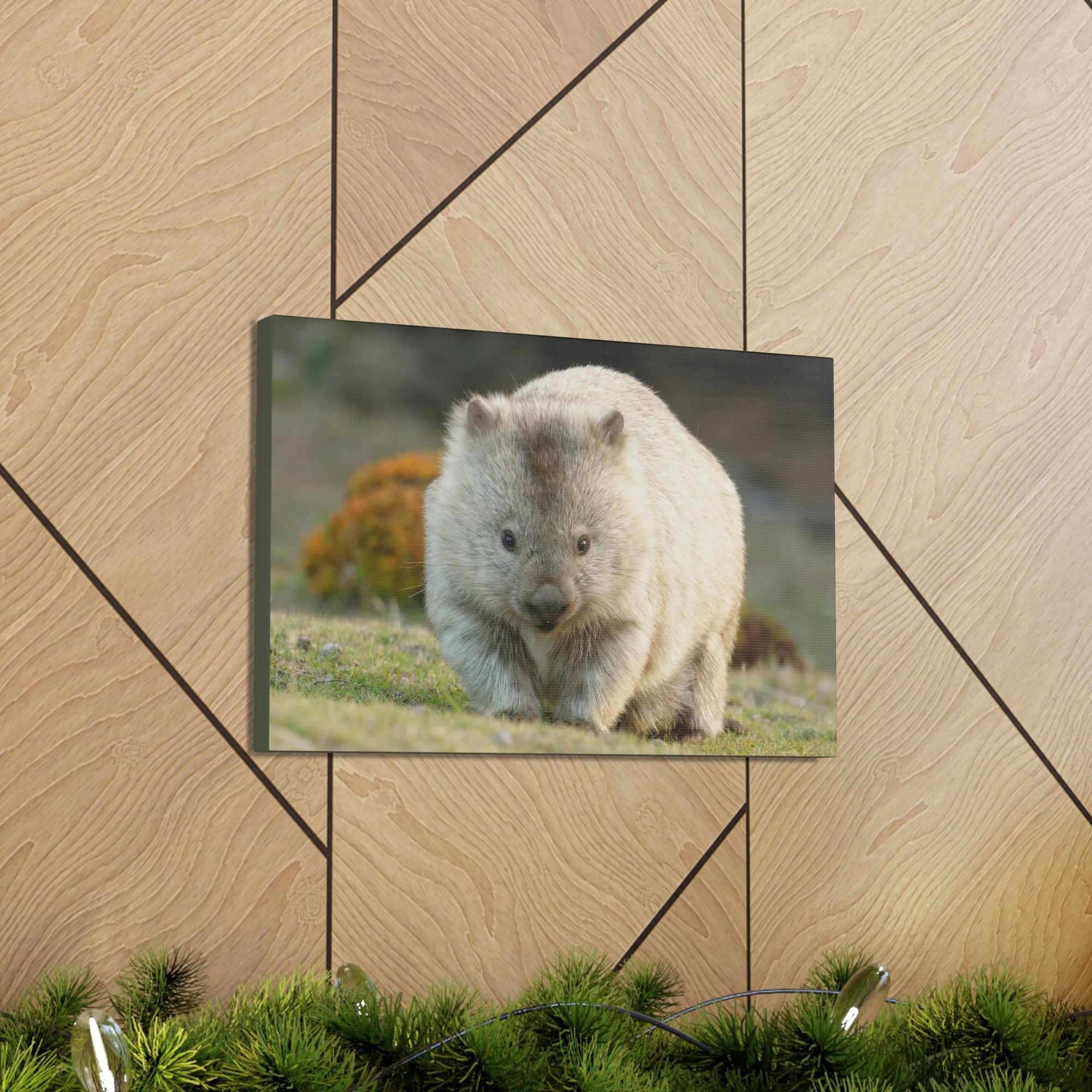 Scripture Walls Majestic Wombat Art Majestic Wombat Print Animal Wall Art Wildlife Canvas Prints Wall Art Ready to Hang Unframed-Express Your Love Gifts