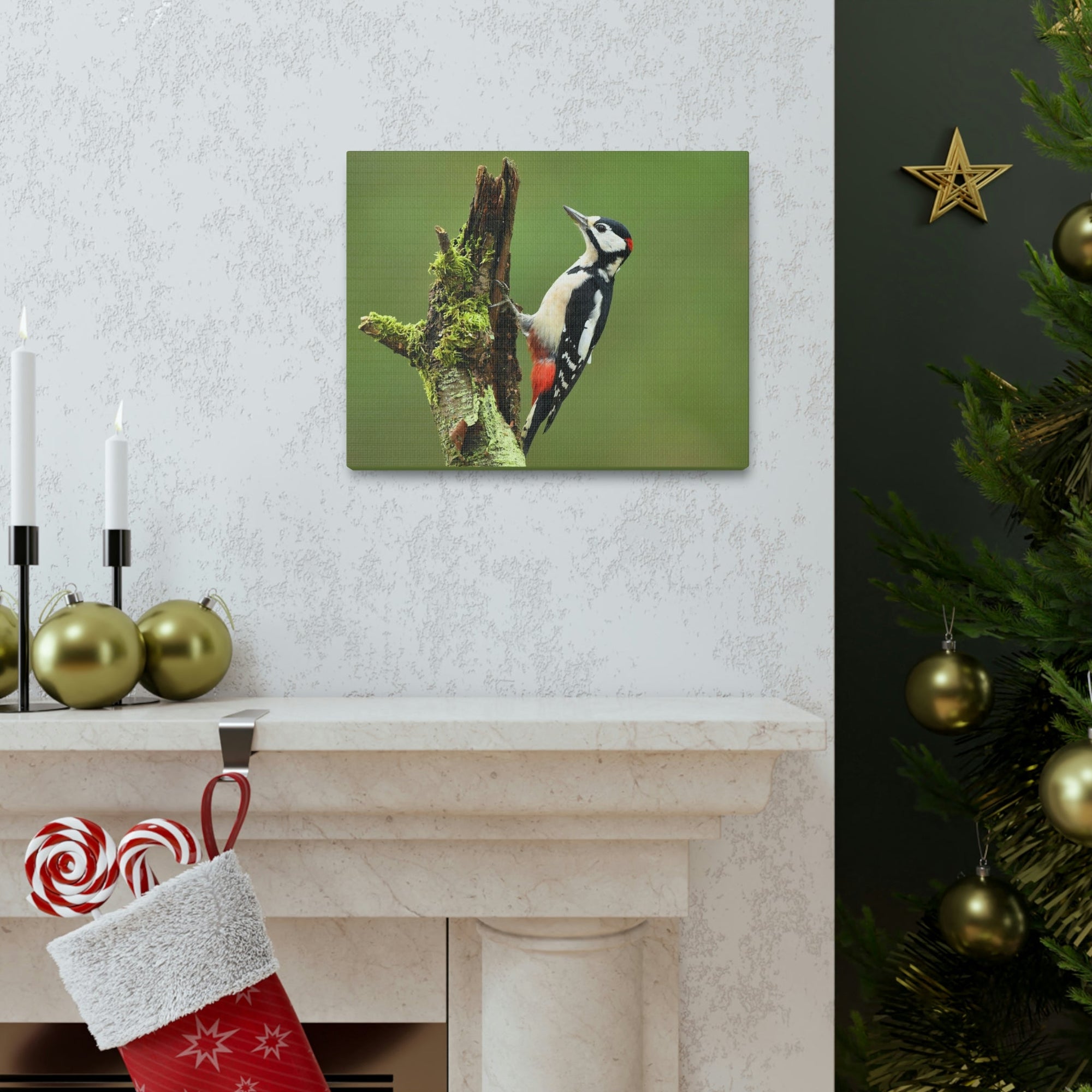 Scripture Walls Majestic Woodpecker Art Majestic Woodpecker Print Animal Wall Art Wildlife Canvas Prints Wall Art Ready to Hang Unframed-Express Your Love Gifts