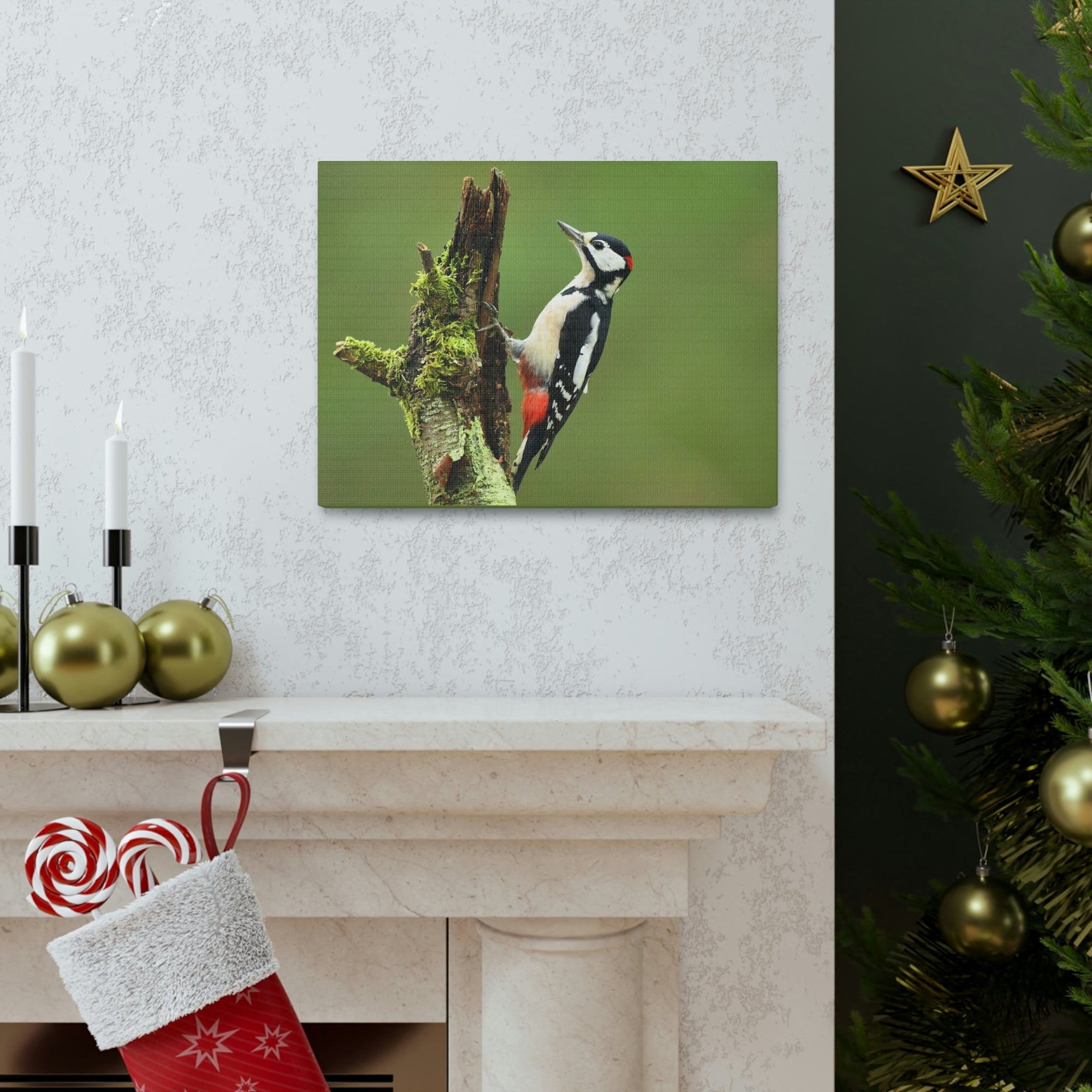 Scripture Walls Majestic Woodpecker Art Majestic Woodpecker Print Animal Wall Art Wildlife Canvas Prints Wall Art Ready to Hang Unframed-Express Your Love Gifts