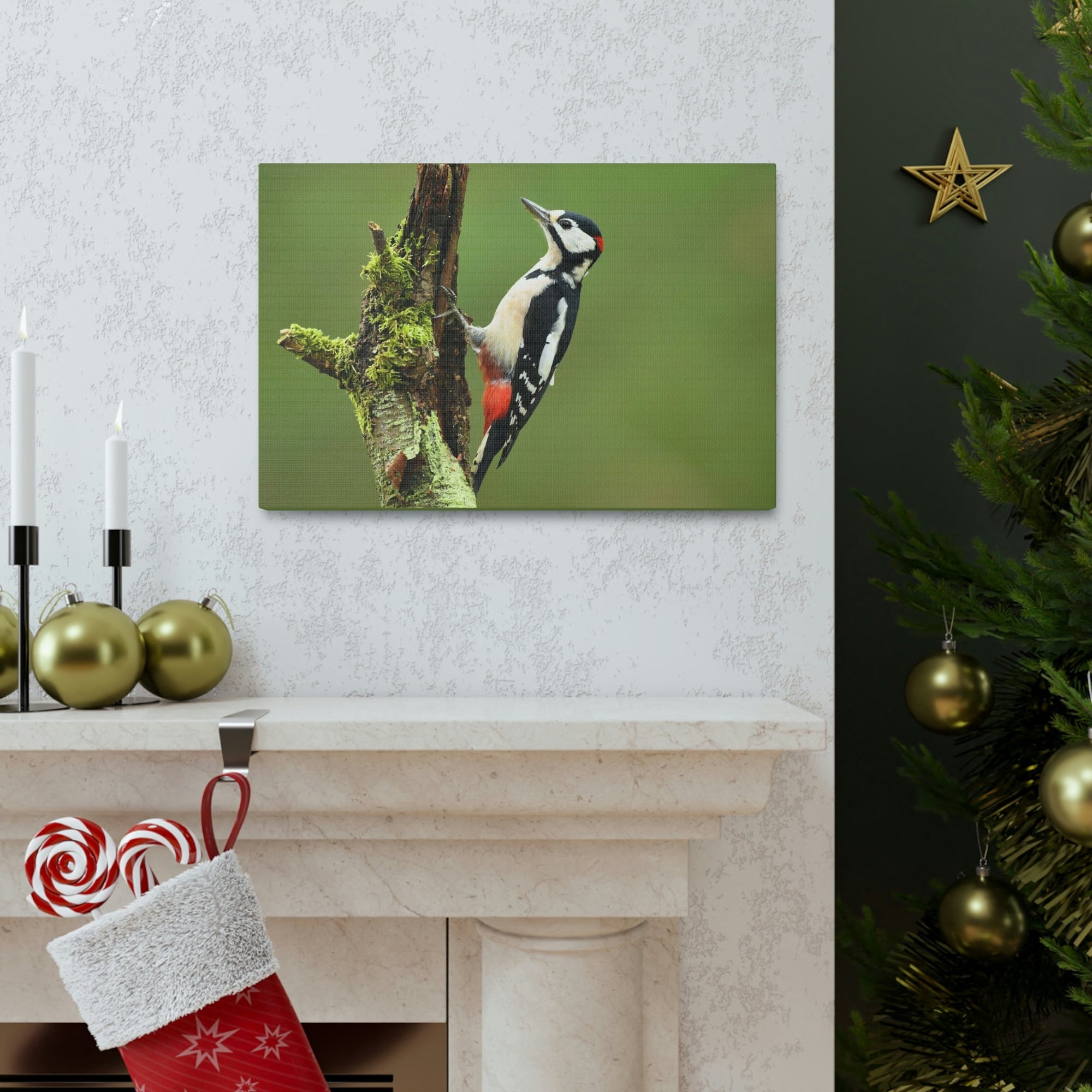 Scripture Walls Majestic Woodpecker Art Majestic Woodpecker Print Animal Wall Art Wildlife Canvas Prints Wall Art Ready to Hang Unframed-Express Your Love Gifts