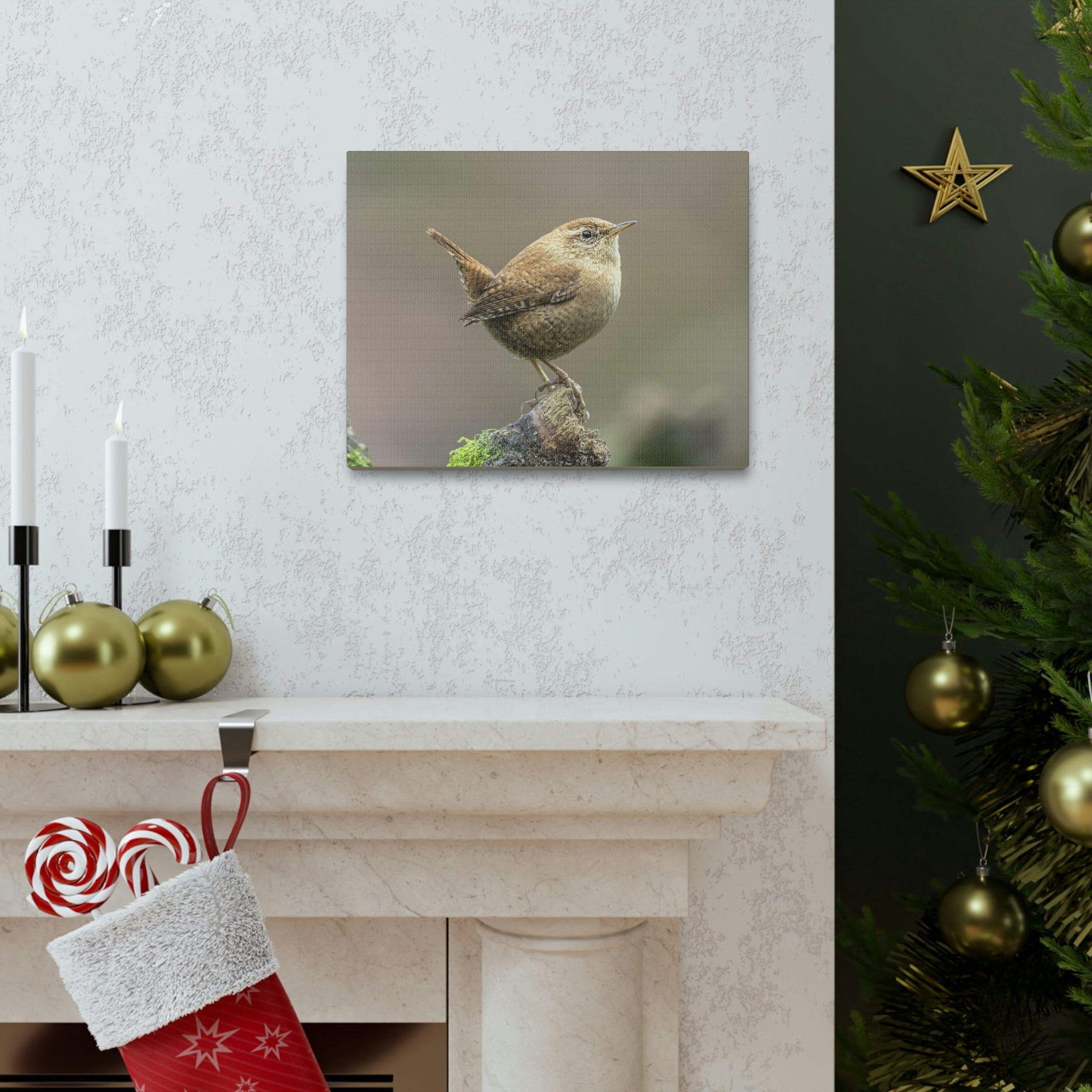 Scripture Walls Majestic Wren Art Majestic Wren Print Animal Wall Art Wildlife Canvas Prints Wall Art Ready to Hang Unframed-Express Your Love Gifts