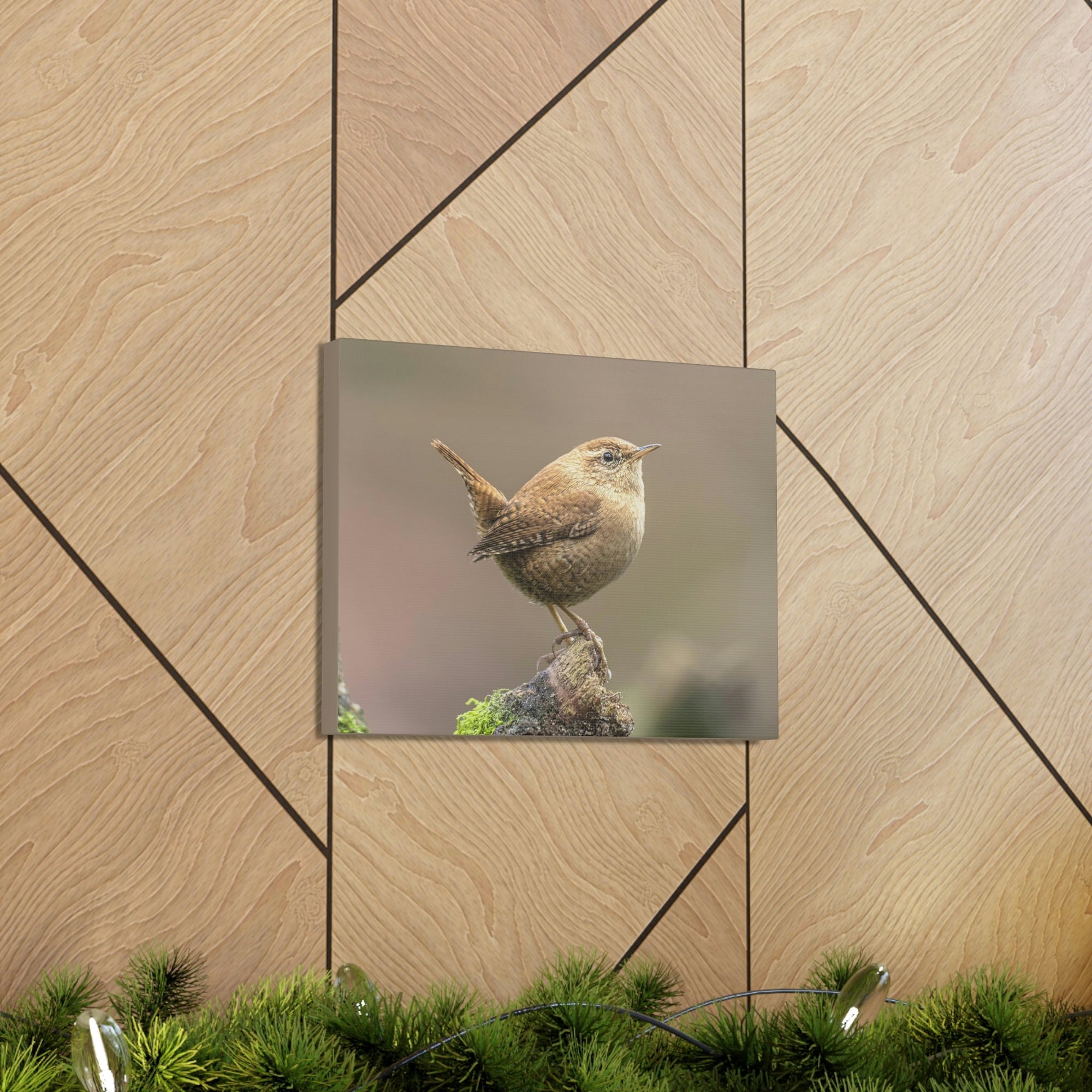 Scripture Walls Majestic Wren Art Majestic Wren Print Animal Wall Art Wildlife Canvas Prints Wall Art Ready to Hang Unframed-Express Your Love Gifts