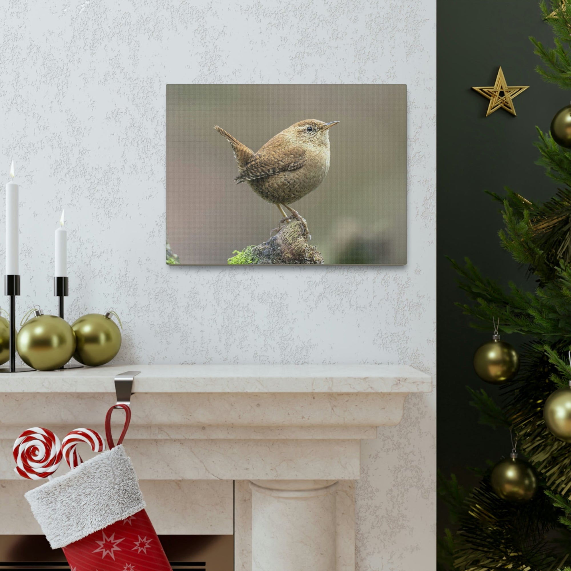 Scripture Walls Majestic Wren Art Majestic Wren Print Animal Wall Art Wildlife Canvas Prints Wall Art Ready to Hang Unframed-Express Your Love Gifts