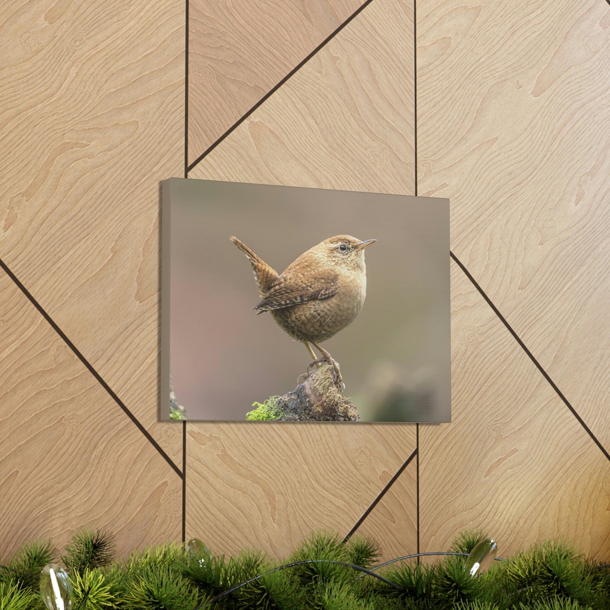 Scripture Walls Majestic Wren Art Majestic Wren Print Animal Wall Art Wildlife Canvas Prints Wall Art Ready to Hang Unframed-Express Your Love Gifts