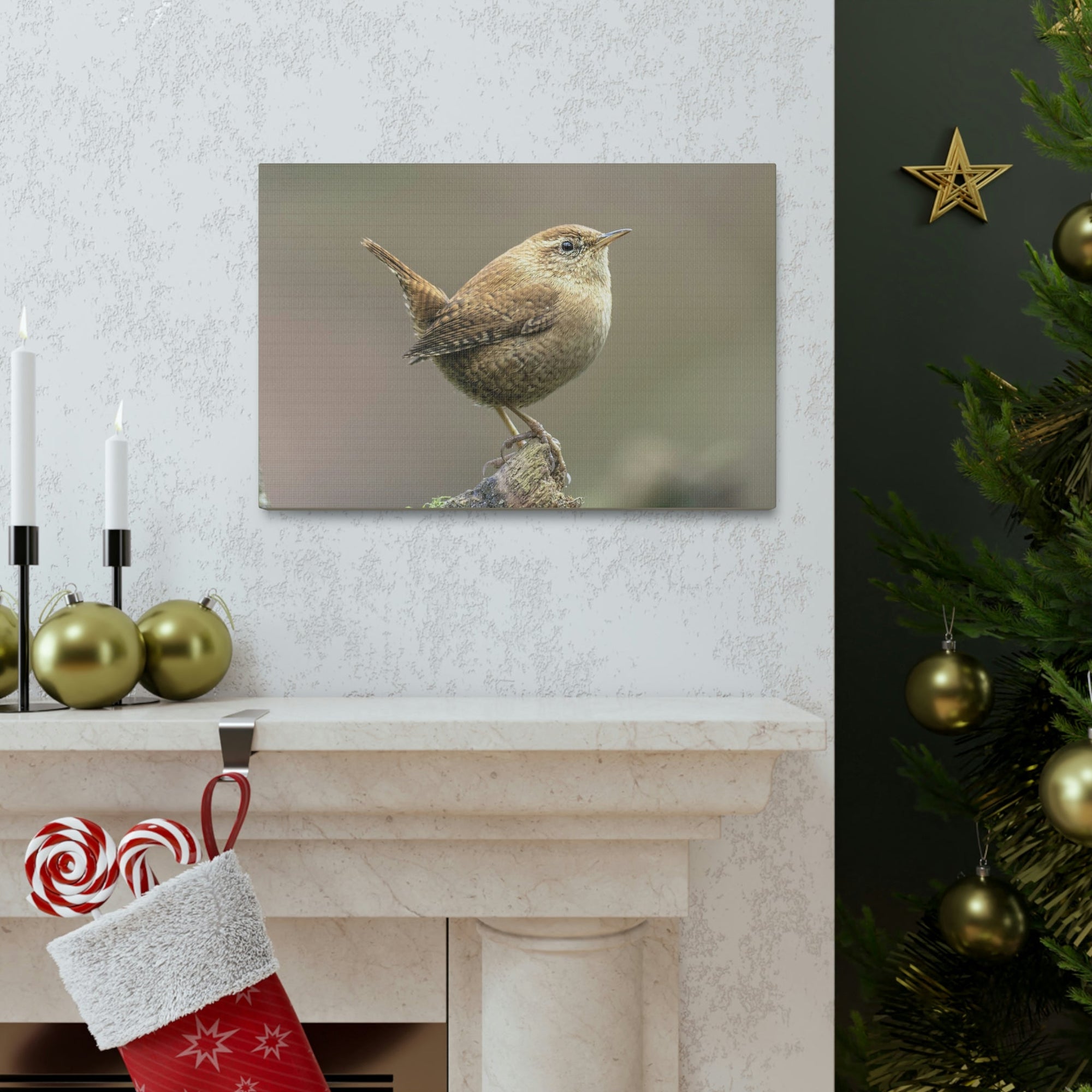 Scripture Walls Majestic Wren Art Majestic Wren Print Animal Wall Art Wildlife Canvas Prints Wall Art Ready to Hang Unframed-Express Your Love Gifts