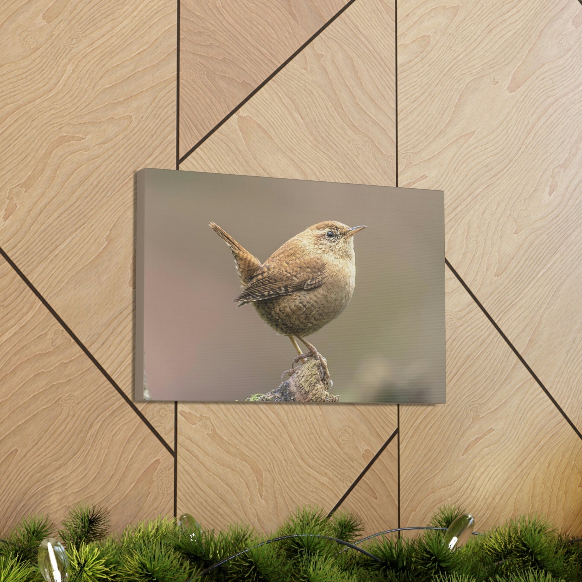 Scripture Walls Majestic Wren Art Majestic Wren Print Animal Wall Art Wildlife Canvas Prints Wall Art Ready to Hang Unframed-Express Your Love Gifts