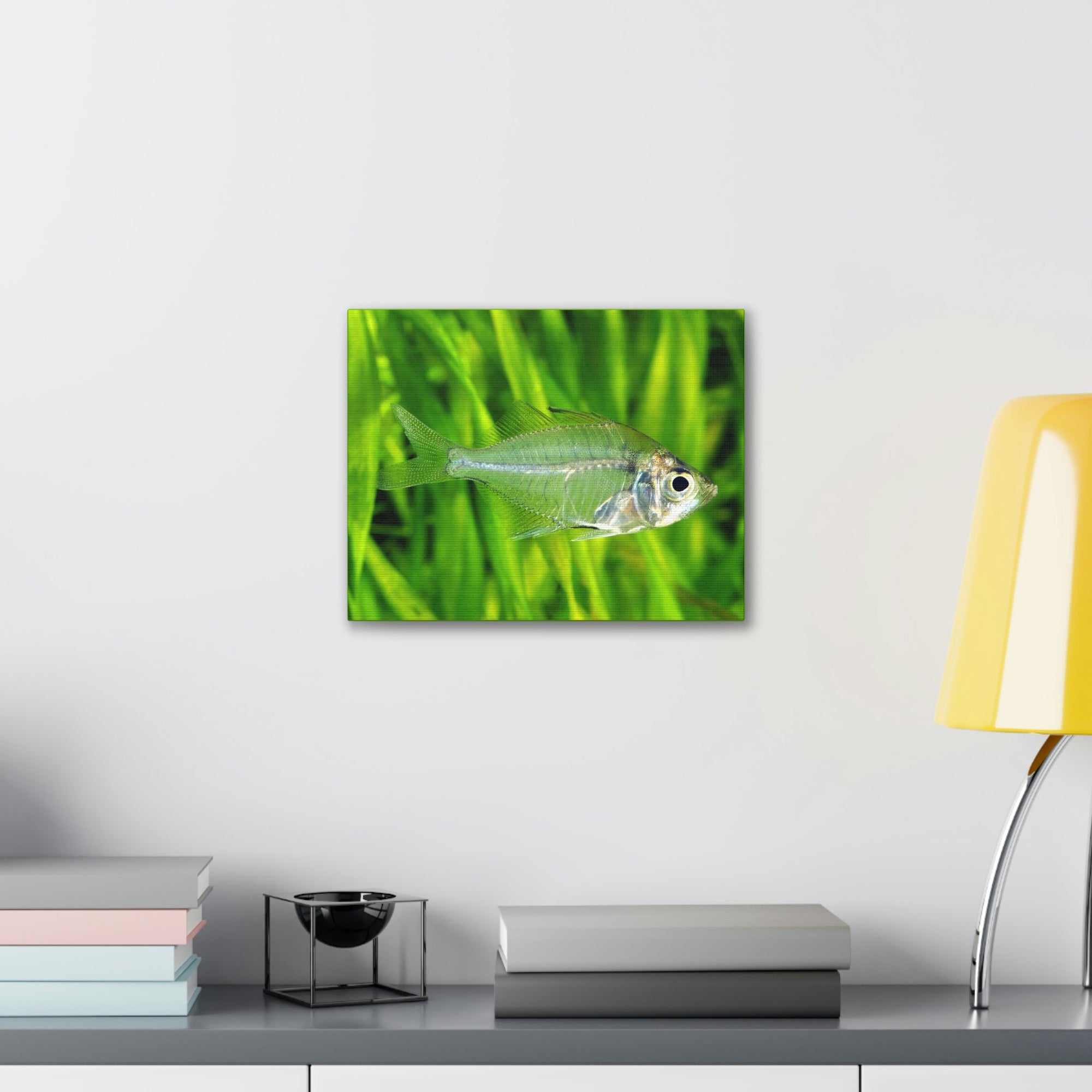 Scripture Walls Majestic X-ray Fish Art Majestic X-ray Fish Print Animal Wall Art Wildlife Canvas Prints Wall Art Ready to Hang Unframed-Express Your Love Gifts