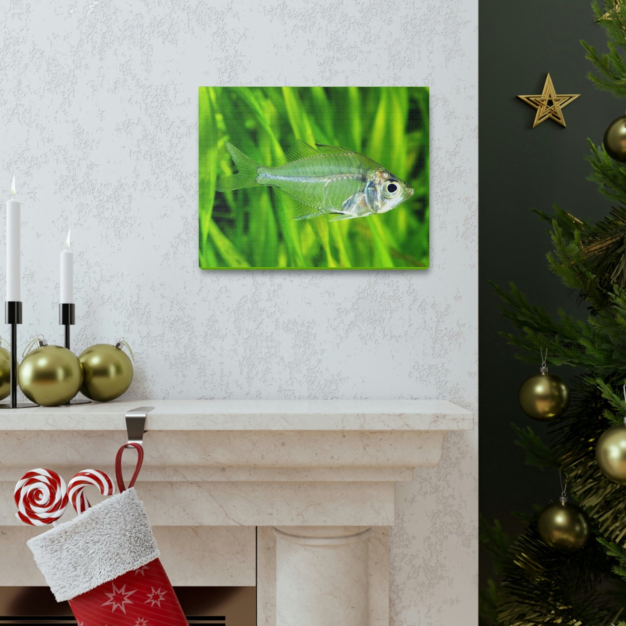 Scripture Walls Majestic X-ray Fish Art Majestic X-ray Fish Print Animal Wall Art Wildlife Canvas Prints Wall Art Ready to Hang Unframed-Express Your Love Gifts