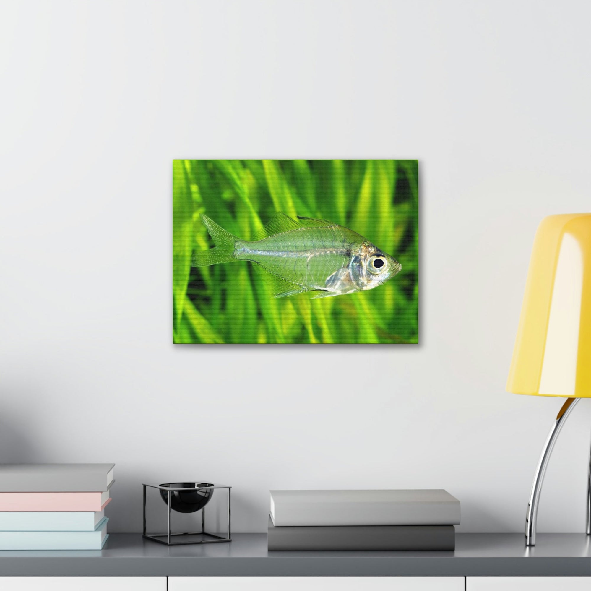 Scripture Walls Majestic X-ray Fish Art Majestic X-ray Fish Print Animal Wall Art Wildlife Canvas Prints Wall Art Ready to Hang Unframed-Express Your Love Gifts