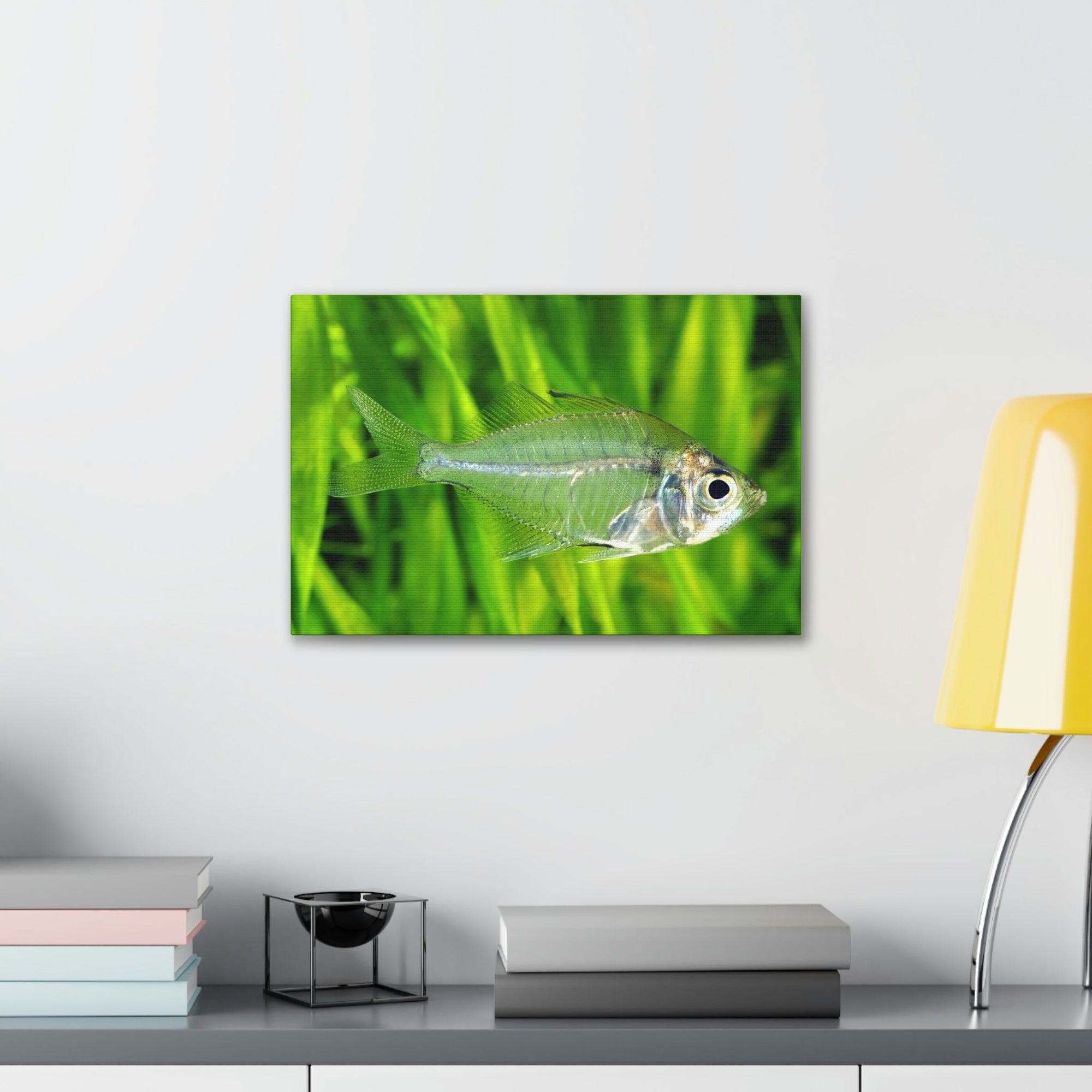 Scripture Walls Majestic X-ray Fish Art Majestic X-ray Fish Print Animal Wall Art Wildlife Canvas Prints Wall Art Ready to Hang Unframed-Express Your Love Gifts