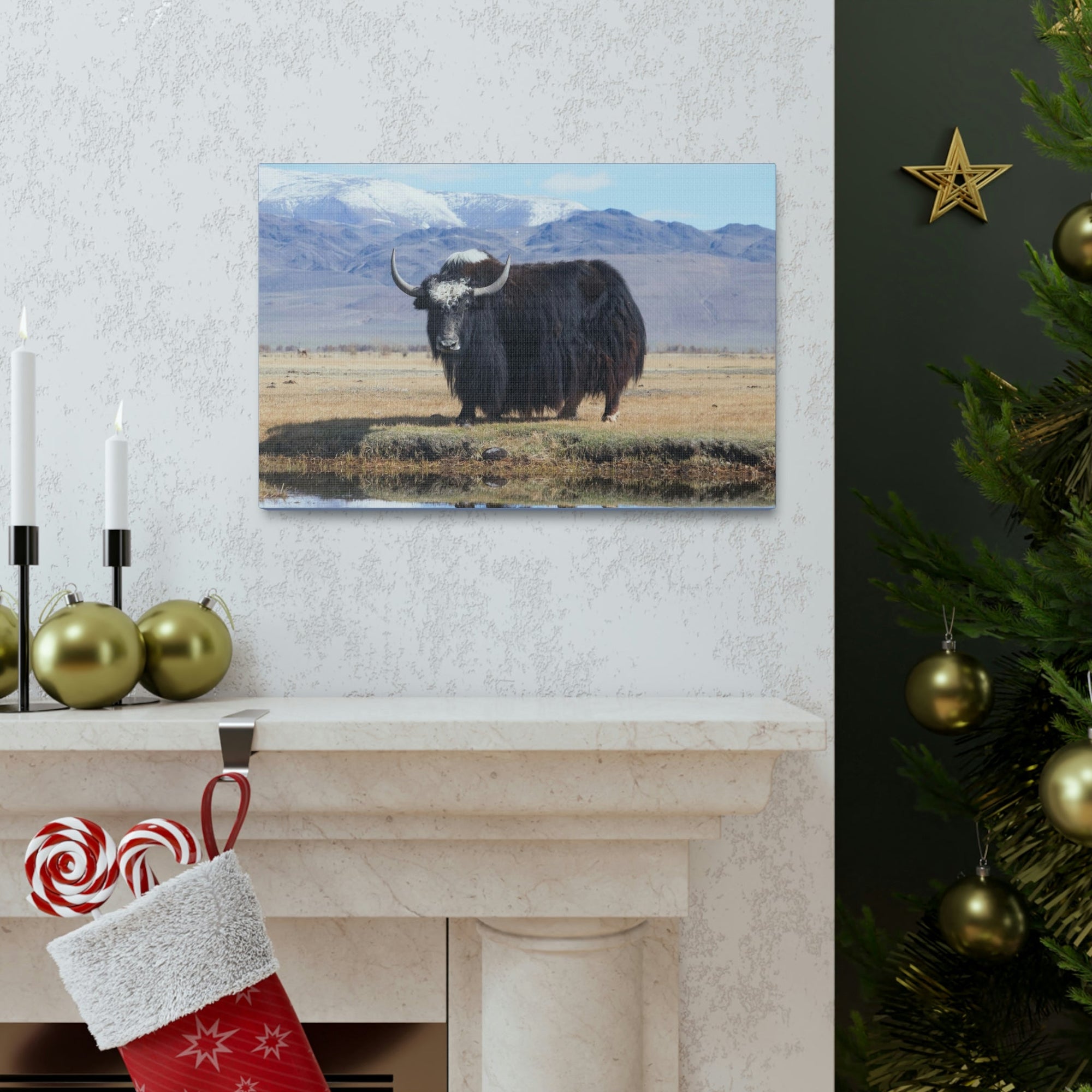 Scripture Walls Majestic Yak Art Majestic Yak Print Animal Wall Art Wildlife Canvas Prints Wall Art Ready to Hang Unframed-Express Your Love Gifts