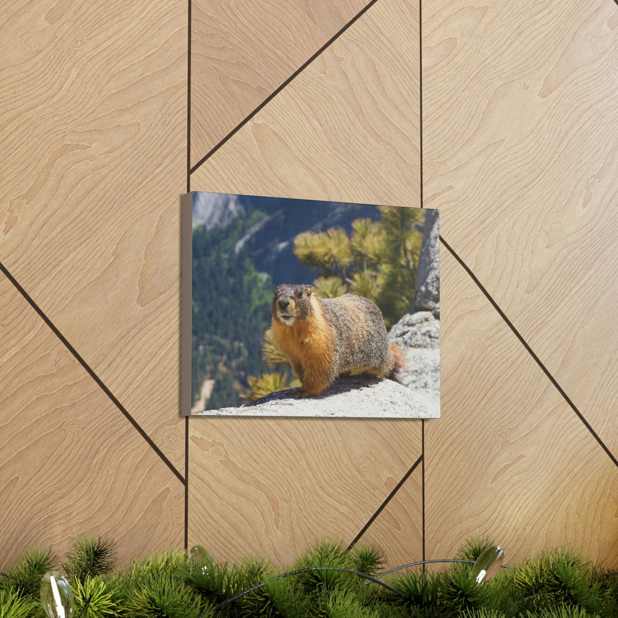 Scripture Walls Majestic Yellow Bellied Marmot Art Majestic Yellow Bellied Marmot Print Animal Wall Art Wildlife Canvas Prints Wall Art Ready to Hang Unframed-Express Your Love Gifts