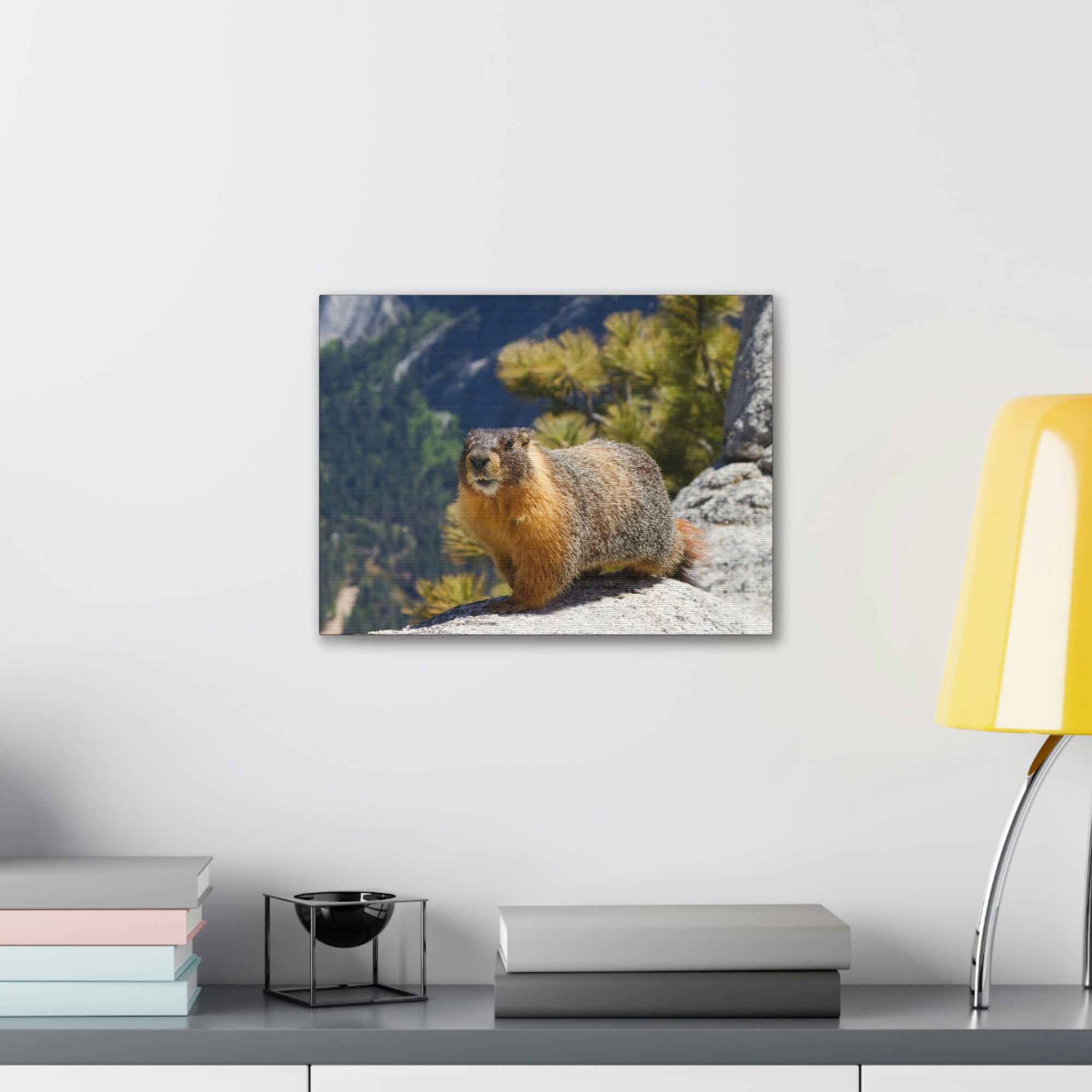 Scripture Walls Majestic Yellow Bellied Marmot Art Majestic Yellow Bellied Marmot Print Animal Wall Art Wildlife Canvas Prints Wall Art Ready to Hang Unframed-Express Your Love Gifts