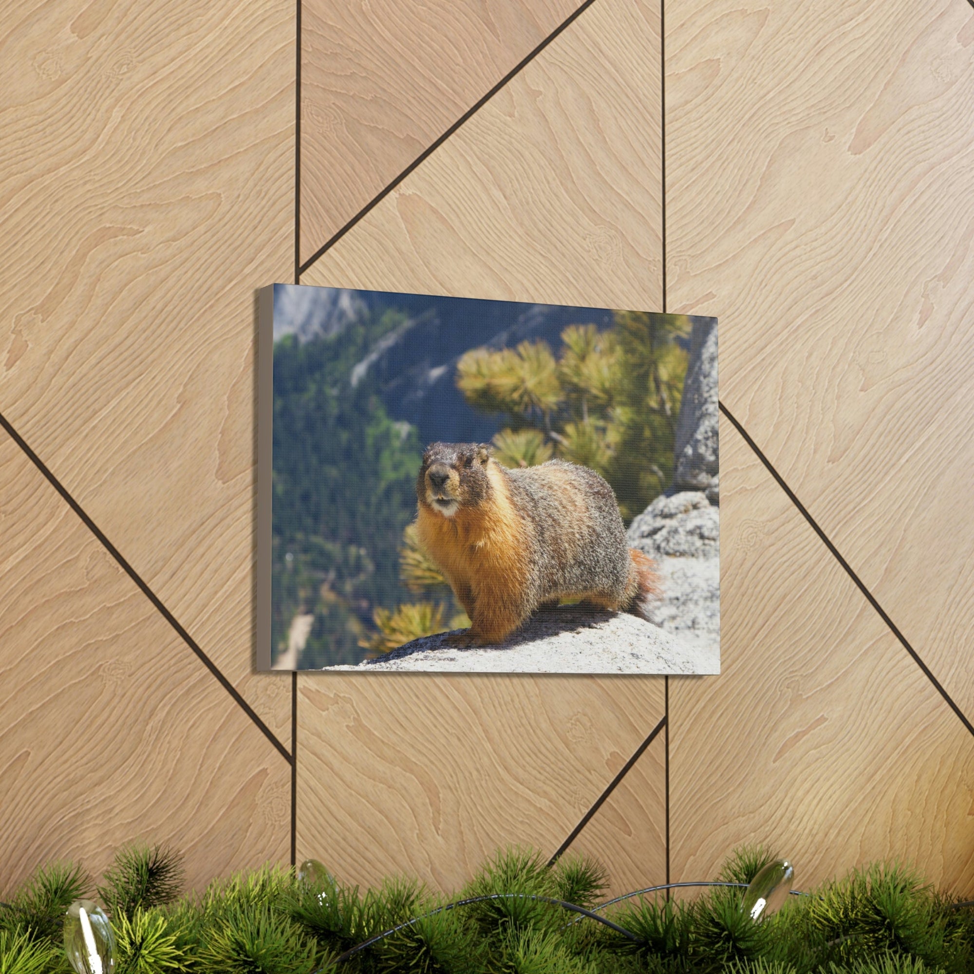 Scripture Walls Majestic Yellow Bellied Marmot Art Majestic Yellow Bellied Marmot Print Animal Wall Art Wildlife Canvas Prints Wall Art Ready to Hang Unframed-Express Your Love Gifts