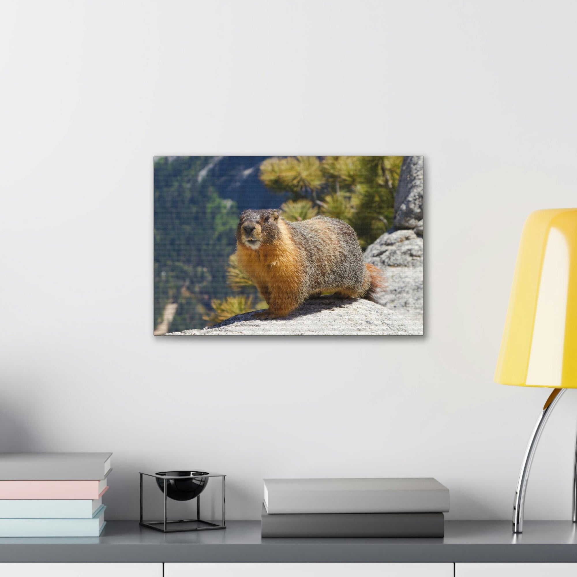 Scripture Walls Majestic Yellow Bellied Marmot Art Majestic Yellow Bellied Marmot Print Animal Wall Art Wildlife Canvas Prints Wall Art Ready to Hang Unframed-Express Your Love Gifts