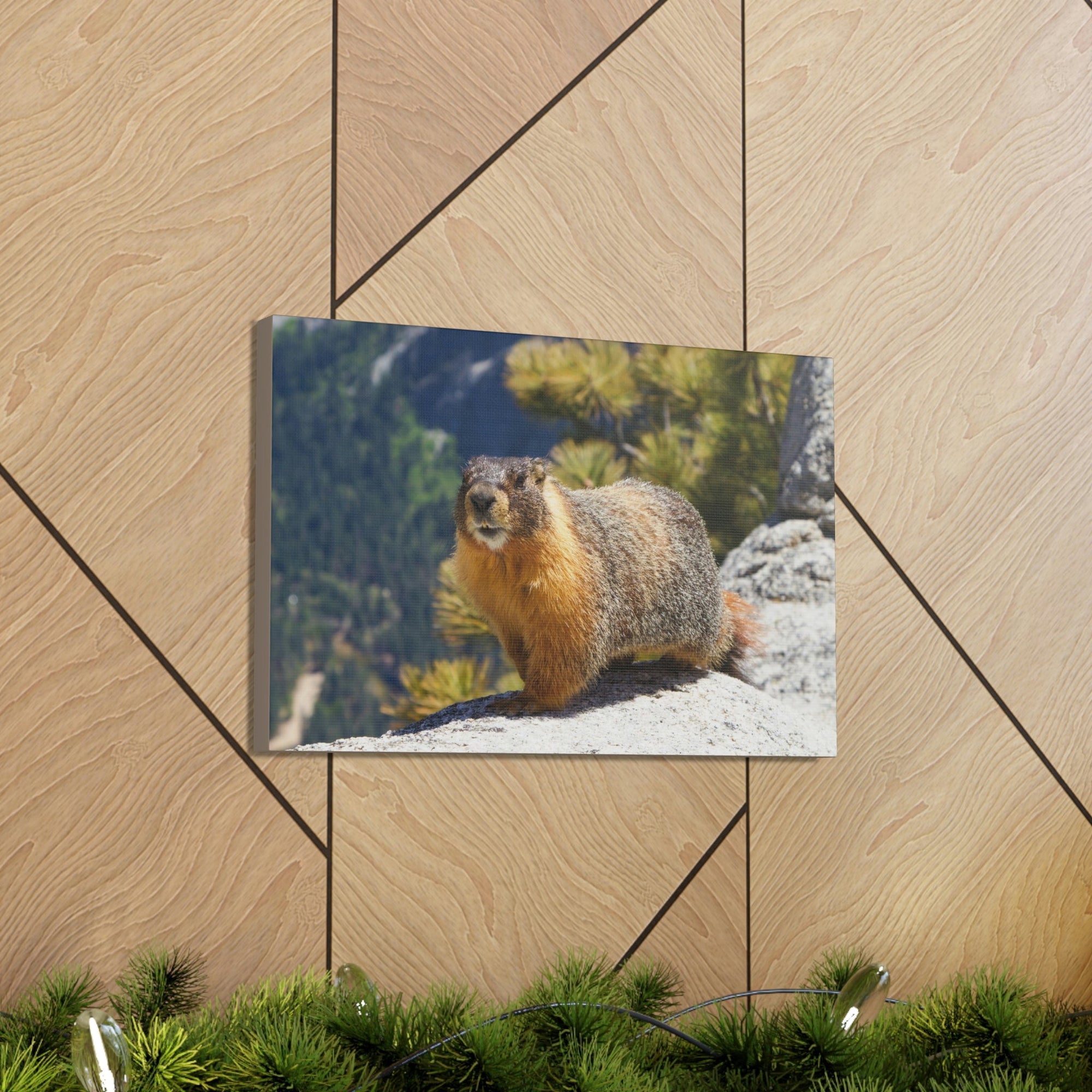 Scripture Walls Majestic Yellow Bellied Marmot Art Majestic Yellow Bellied Marmot Print Animal Wall Art Wildlife Canvas Prints Wall Art Ready to Hang Unframed-Express Your Love Gifts