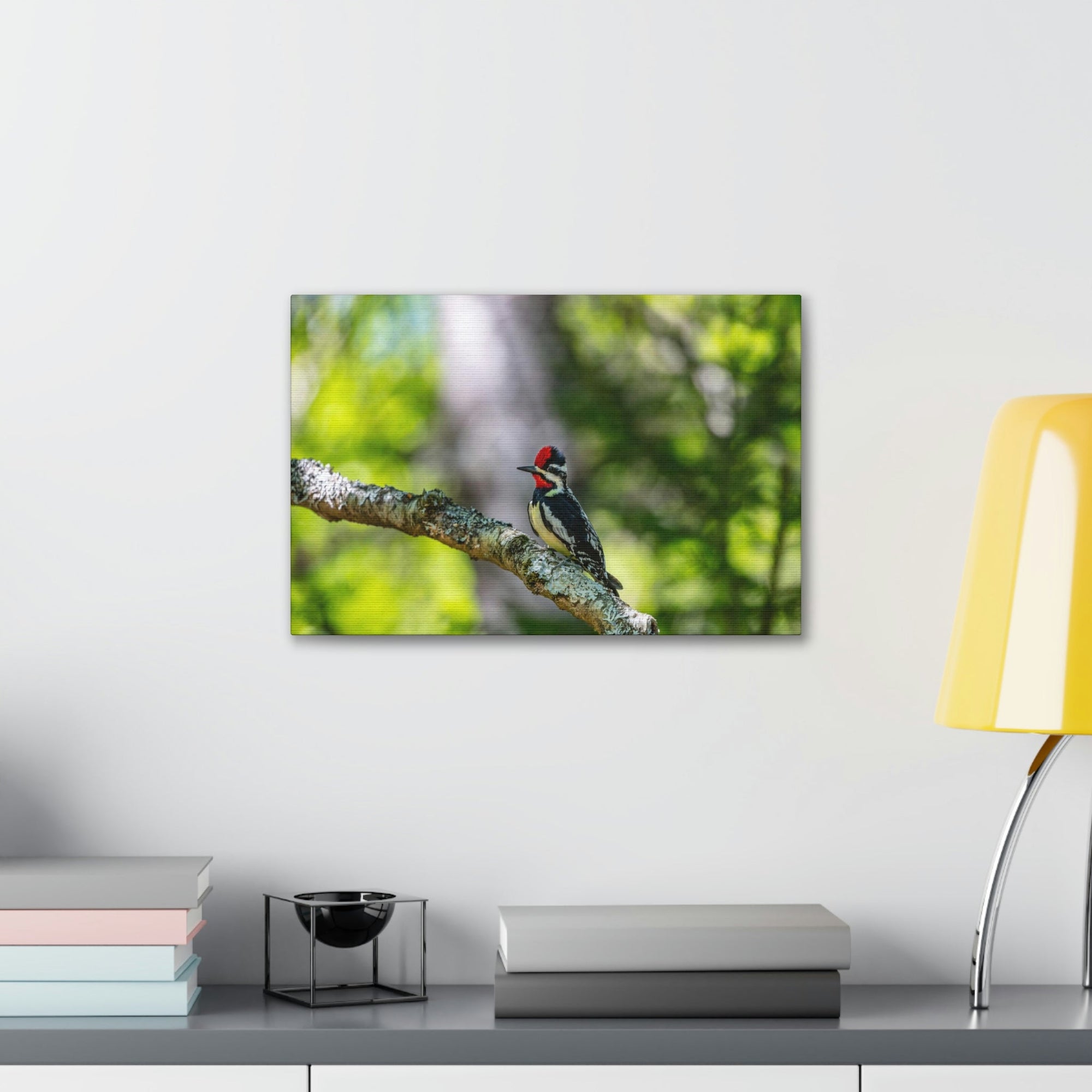 Scripture Walls Majestic Yellow Bellied Sapsucker on a Tree Branch Print Animal Wall Art Wildlife Canvas Prints Wall Art Ready to Hang Unframed-Express Your Love Gifts