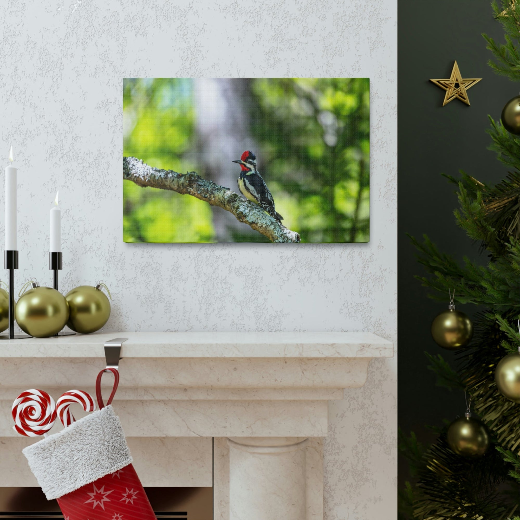 Scripture Walls Majestic Yellow Bellied Sapsucker on a Tree Branch Print Animal Wall Art Wildlife Canvas Prints Wall Art Ready to Hang Unframed-Express Your Love Gifts