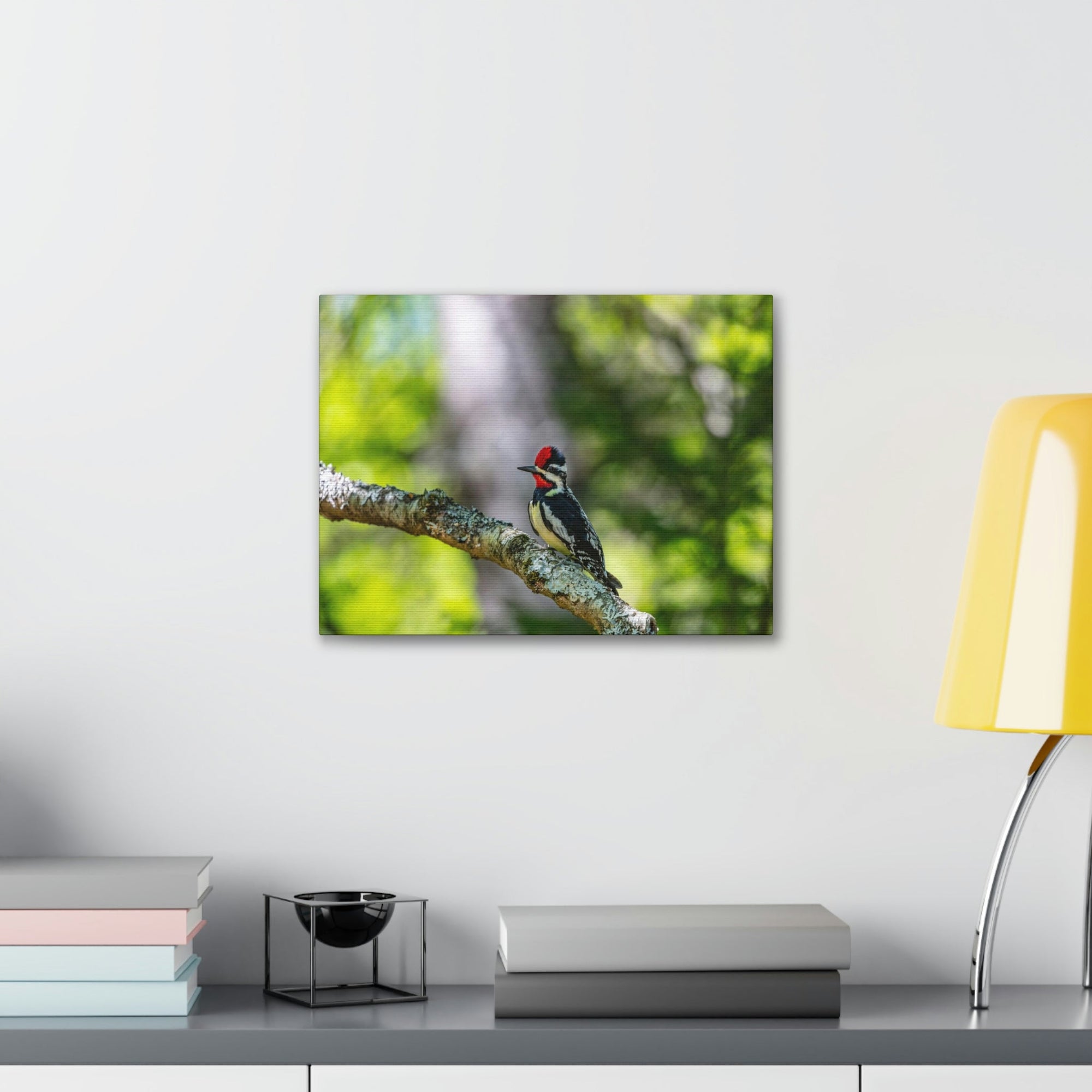 Scripture Walls Majestic Yellow Bellied Sapsucker on a Tree Branch Print Animal Wall Art Wildlife Canvas Prints Wall Art Ready to Hang Unframed-Express Your Love Gifts