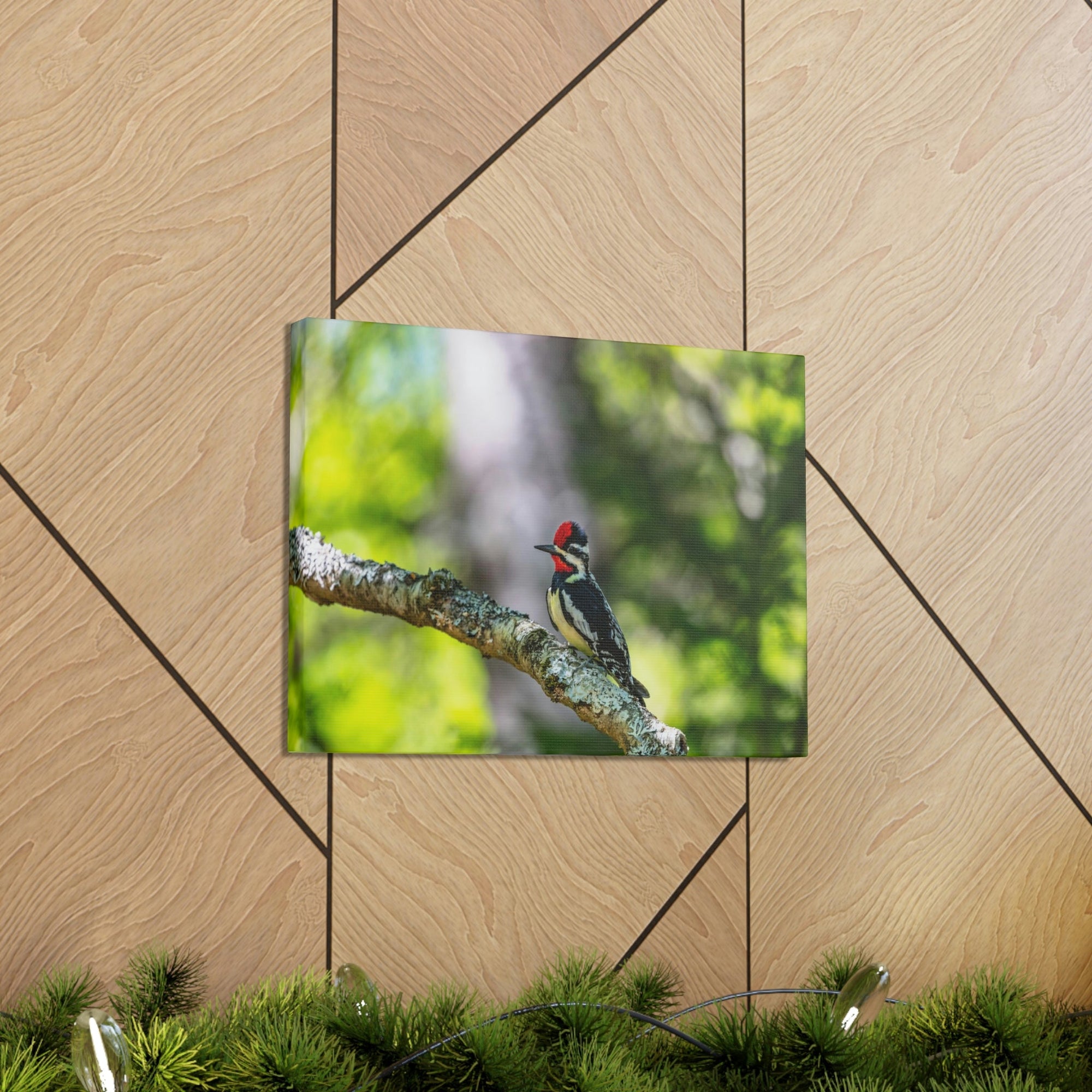 Scripture Walls Majestic Yellow Bellied Sapsucker on a Tree Branch Print Animal Wall Art Wildlife Canvas Prints Wall Art Ready to Hang Unframed-Express Your Love Gifts