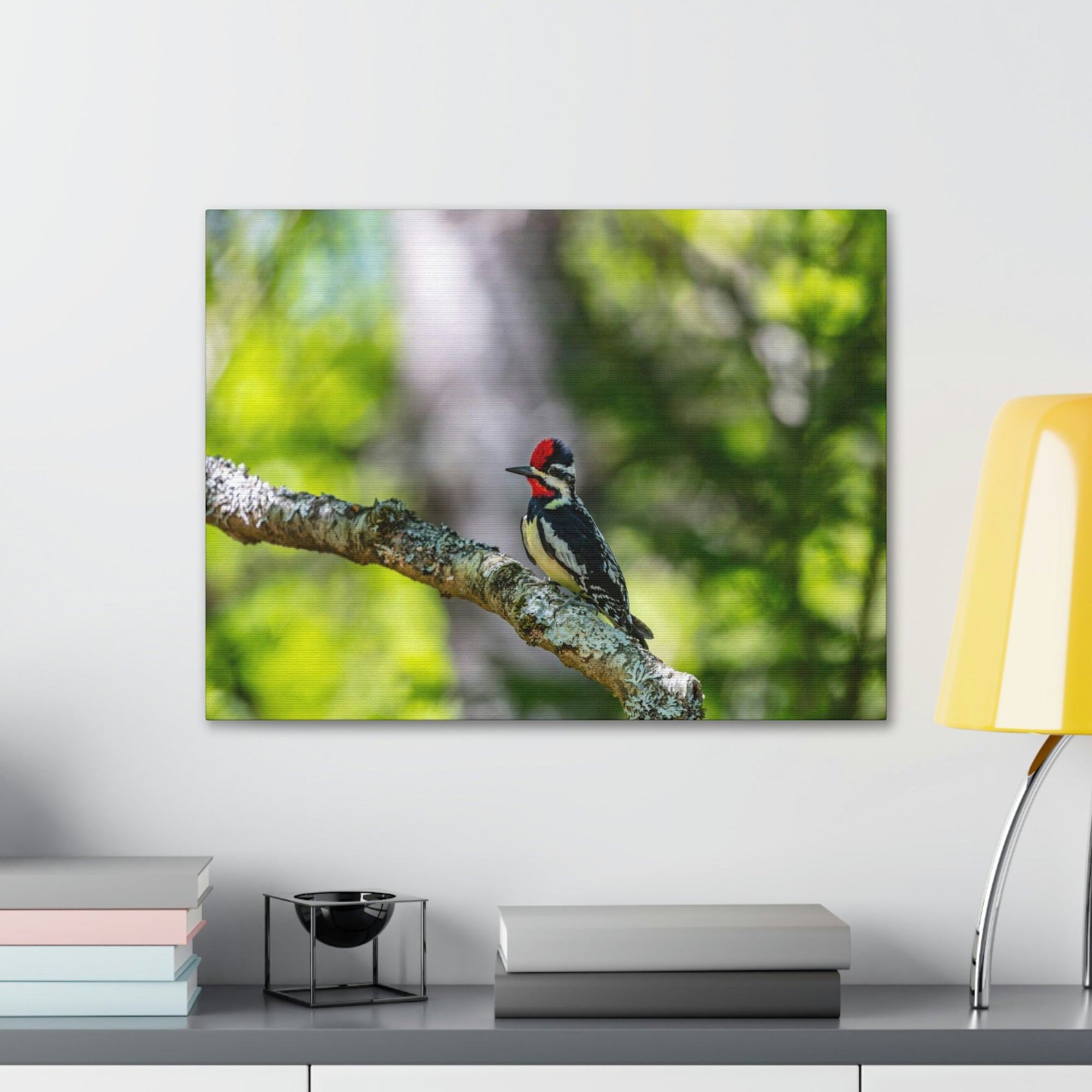 Scripture Walls Majestic Yellow Bellied Sapsucker on a Tree Branch Print Animal Wall Art Wildlife Canvas Prints Wall Art Ready to Hang Unframed-Express Your Love Gifts