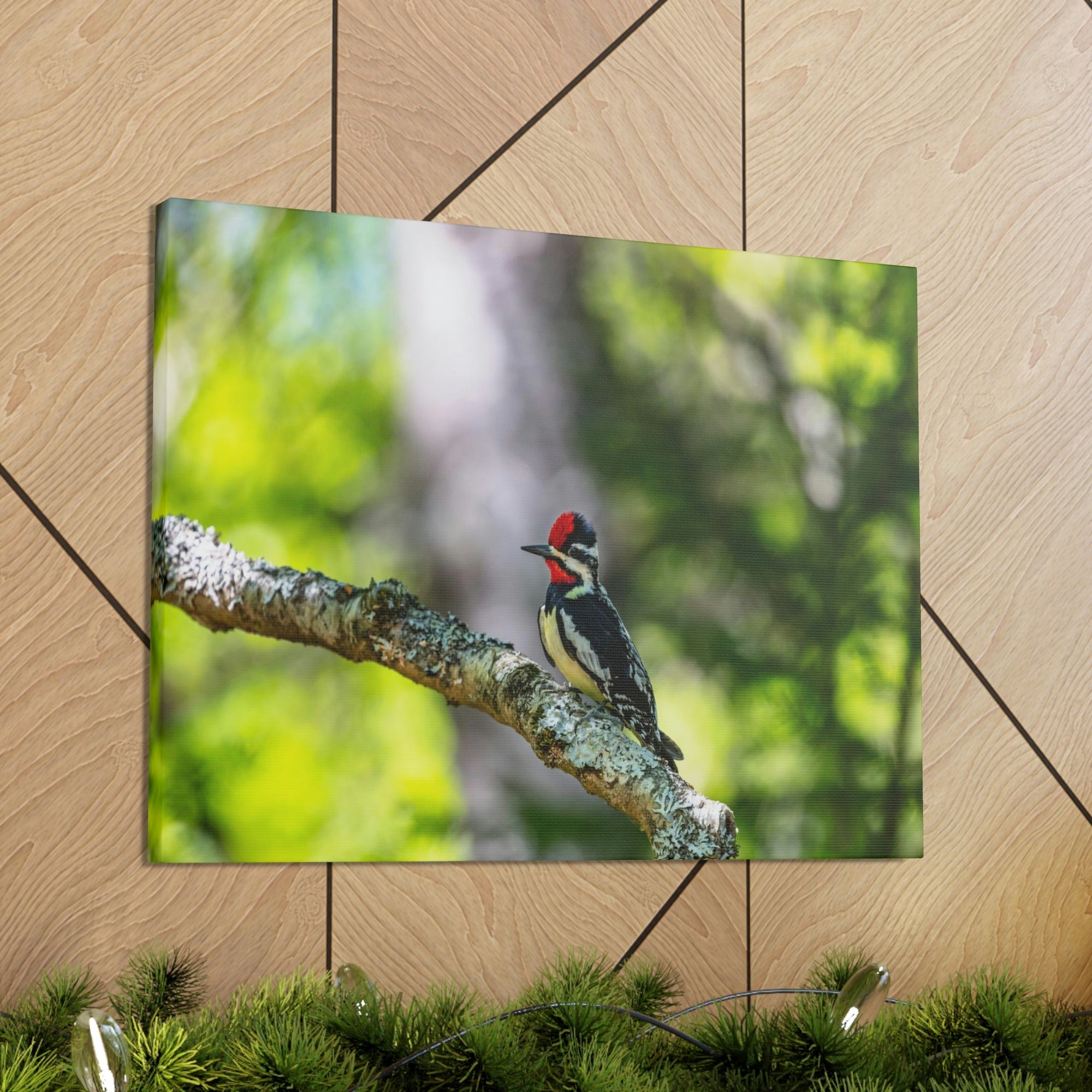 Scripture Walls Majestic Yellow Bellied Sapsucker on a Tree Branch Print Animal Wall Art Wildlife Canvas Prints Wall Art Ready to Hang Unframed-Express Your Love Gifts