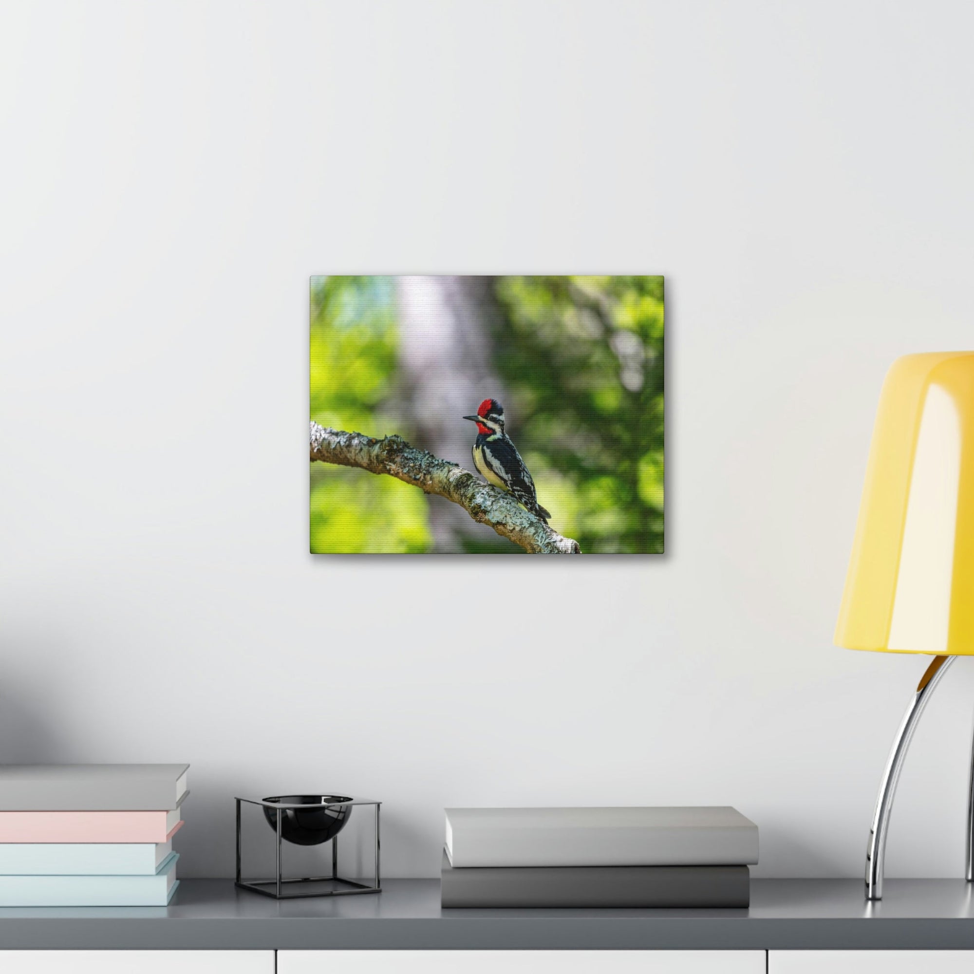 Scripture Walls Majestic Yellow Bellied Sapsucker on a Tree Branch Print Animal Wall Art Wildlife Canvas Prints Wall Art Ready to Hang Unframed-Express Your Love Gifts