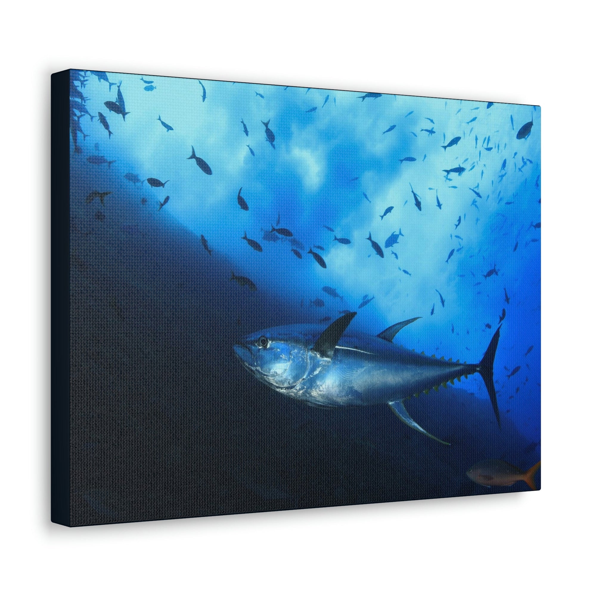 Scripture Walls Majestic Yellow Finned Tuna With Others in the Background Print Animal Wall Art Wildlife Canvas Prints Wall Art Ready to Hang Unframed-Express Your Love Gifts